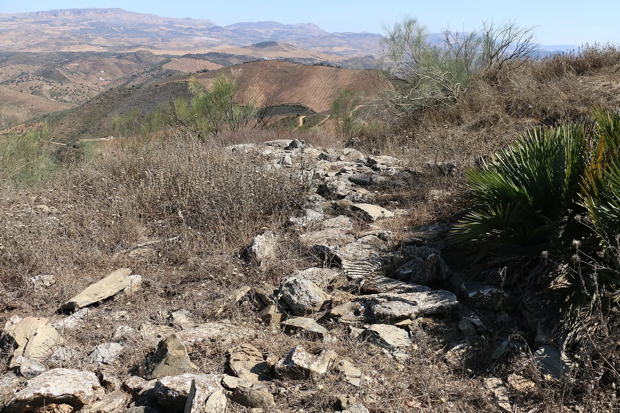 Photo showing: Ruinas de los muros del castillo de santi petri