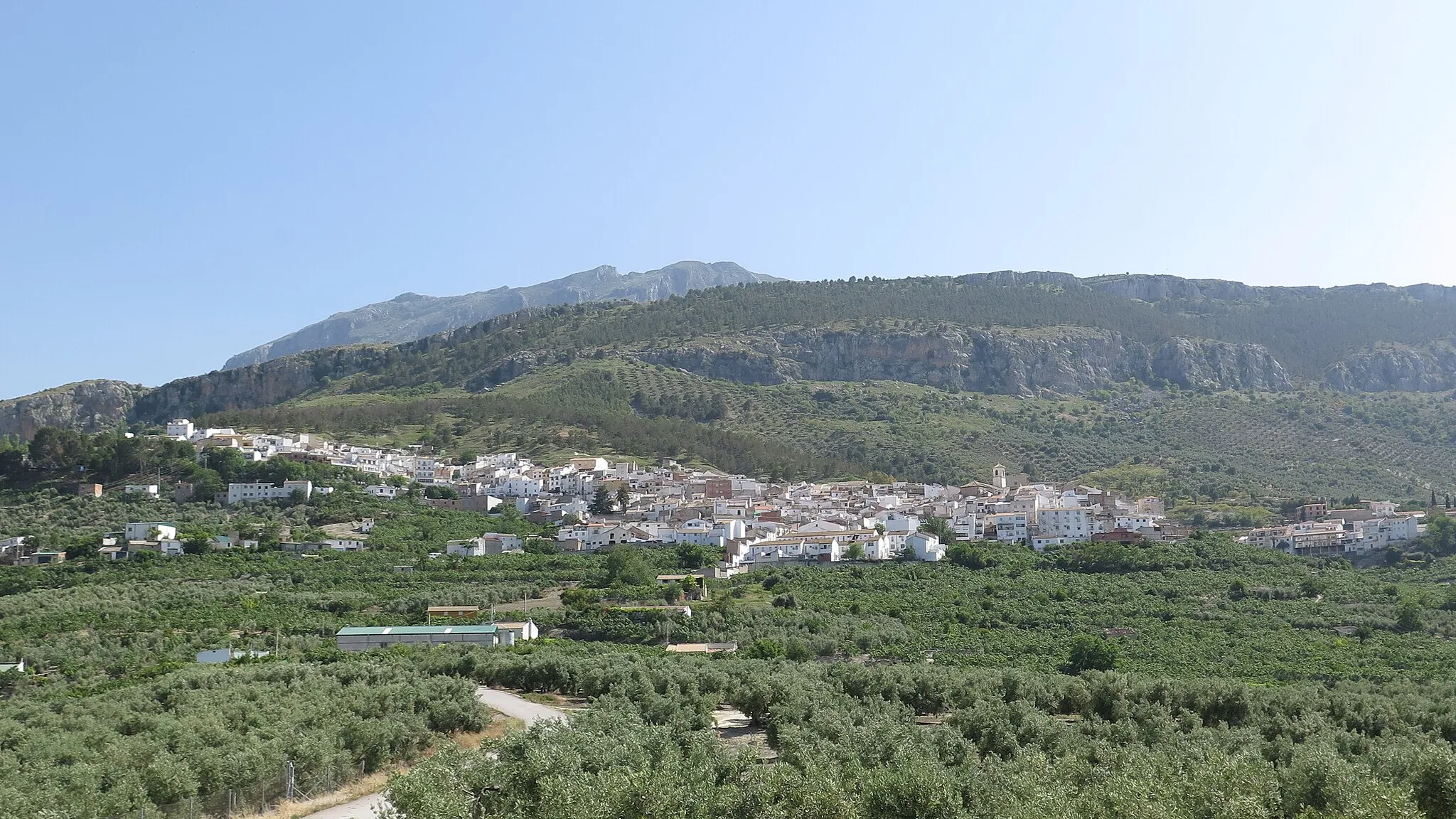 Photo showing: Vista general de Jimena, con sus higueras y olivares.