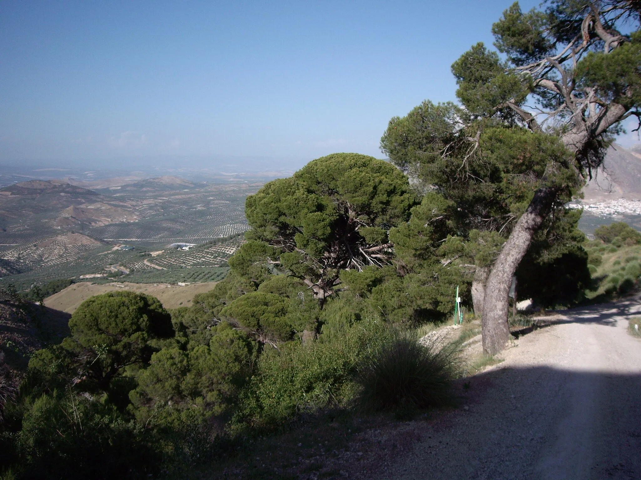 Photo showing: This is a photography of a Special Area of Conservation in Spain with the ID: