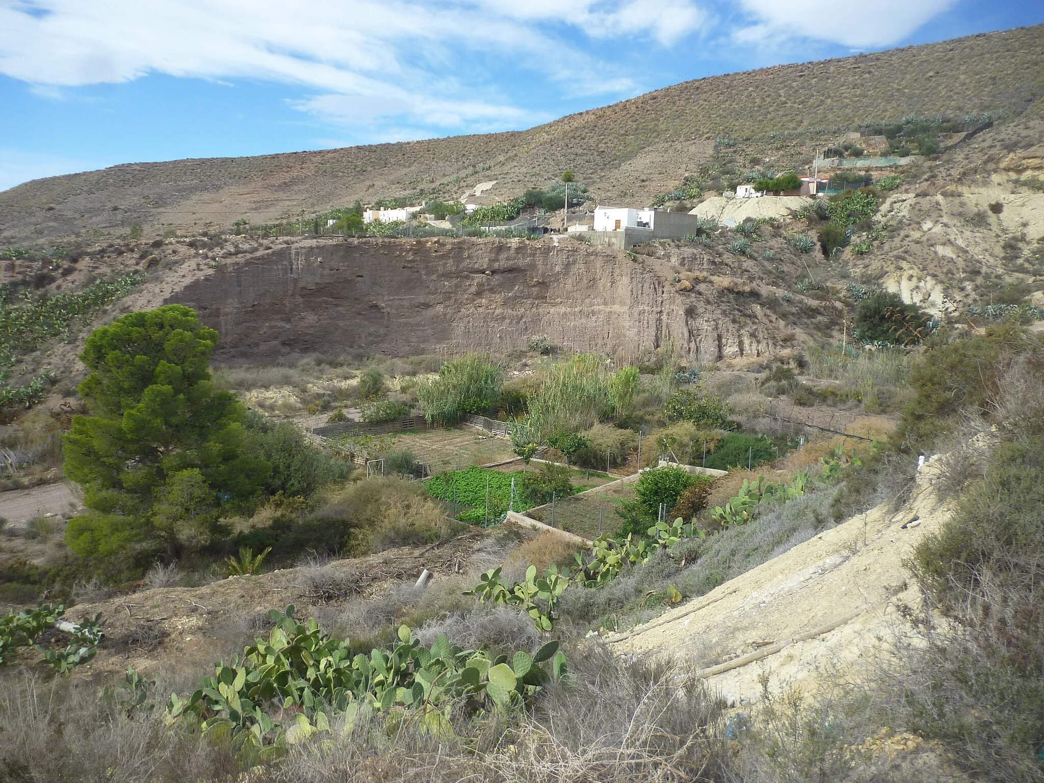 Photo showing: Pequeña huerta y viviendas de las barriada