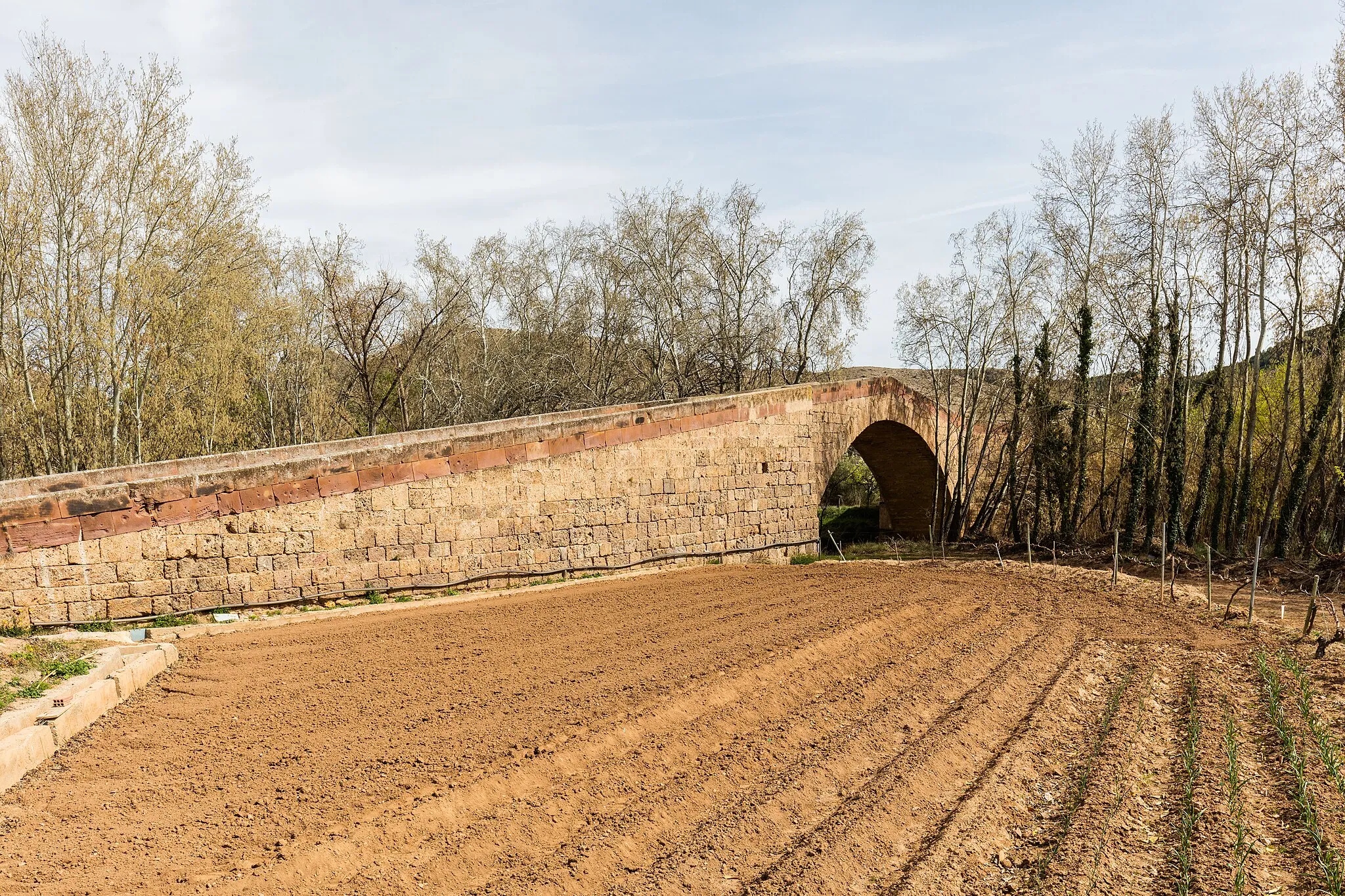 Photo showing: Bridge of Capurnos, Morata de Jalón, Zaragoza, Spain