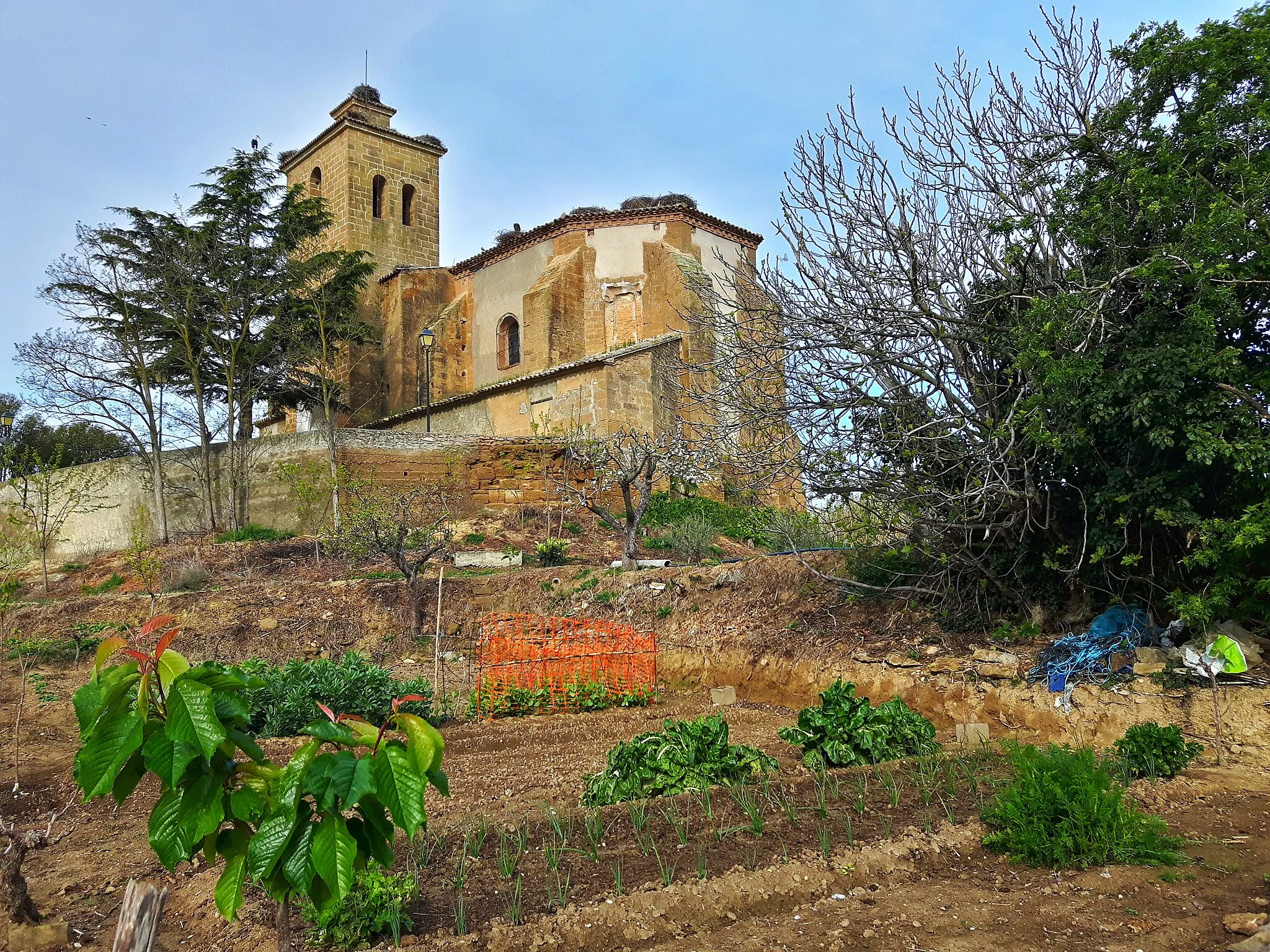 Photo showing: Huerto