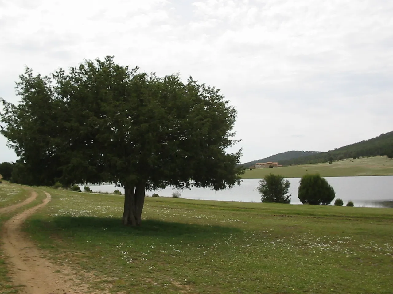 Photo showing: Laguna de Bezas