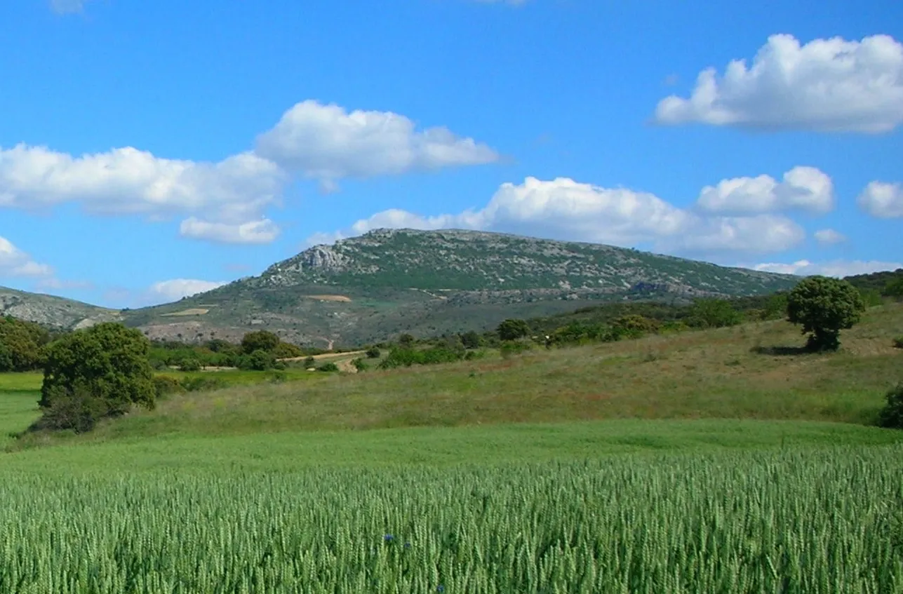 Photo showing: La Modorra, highest point in the Sierra de Cucalón system