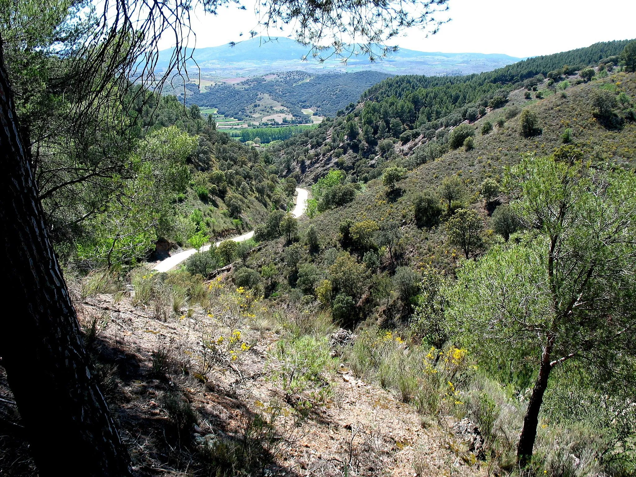 Photo showing: Rambla de Valdemiedes. Sucesiones estratigráficas del Cámbrico Inferior-Medio. Murero (Zaragoza, España). Vista hacia el suroeste.