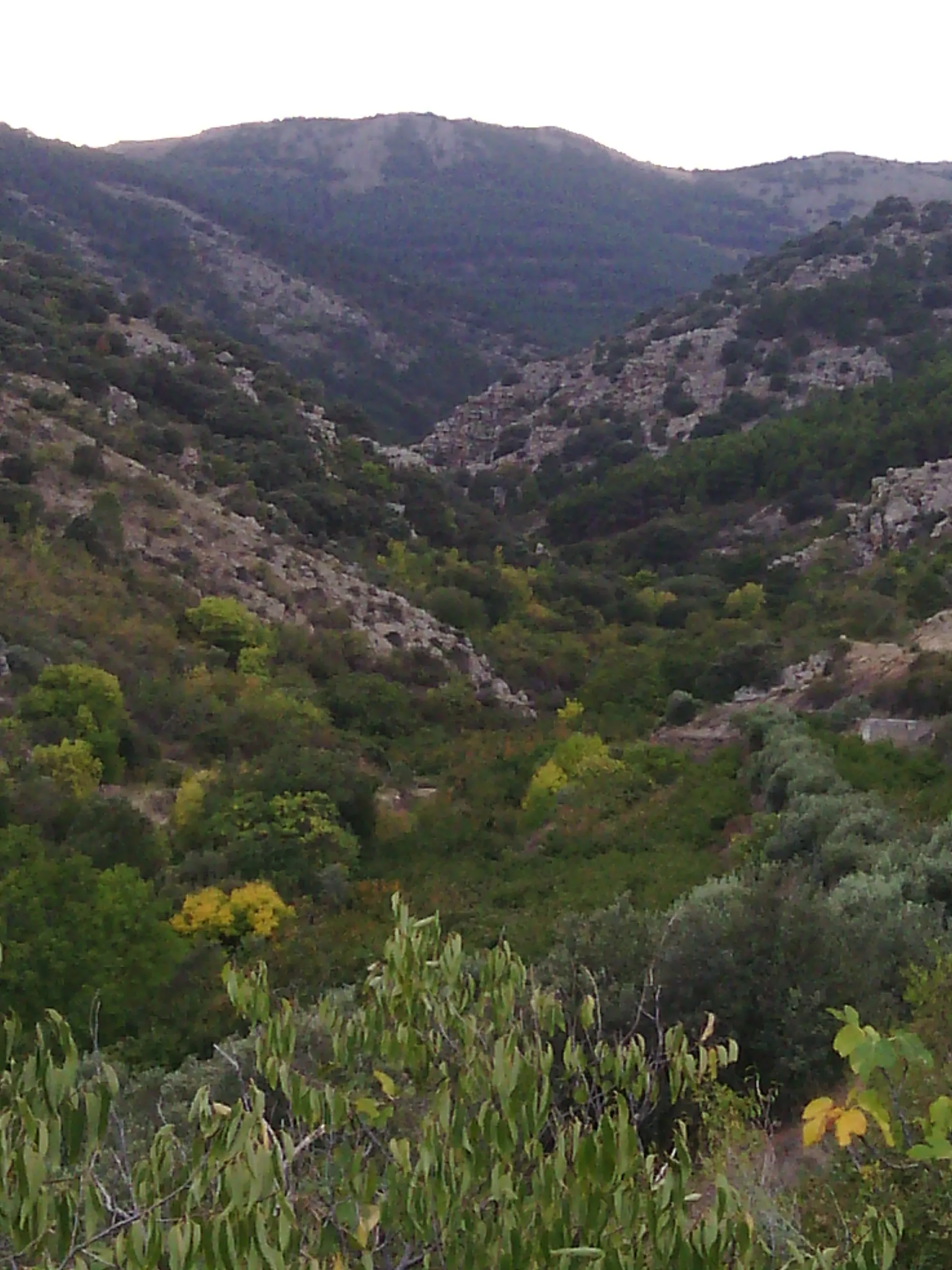 Photo showing: Sierra de Vicort