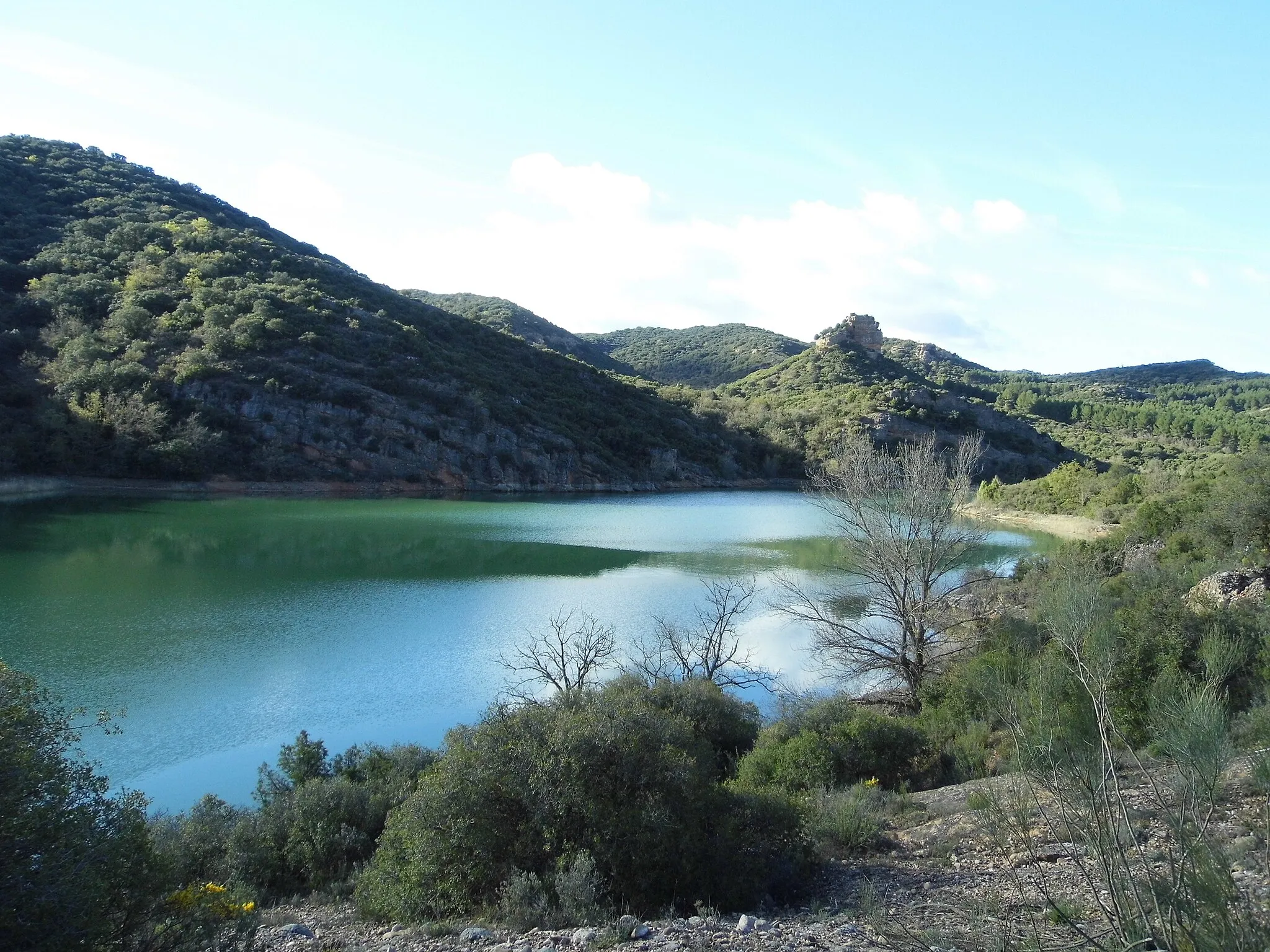 Photo showing: Imagen del embalse de Las Torcas