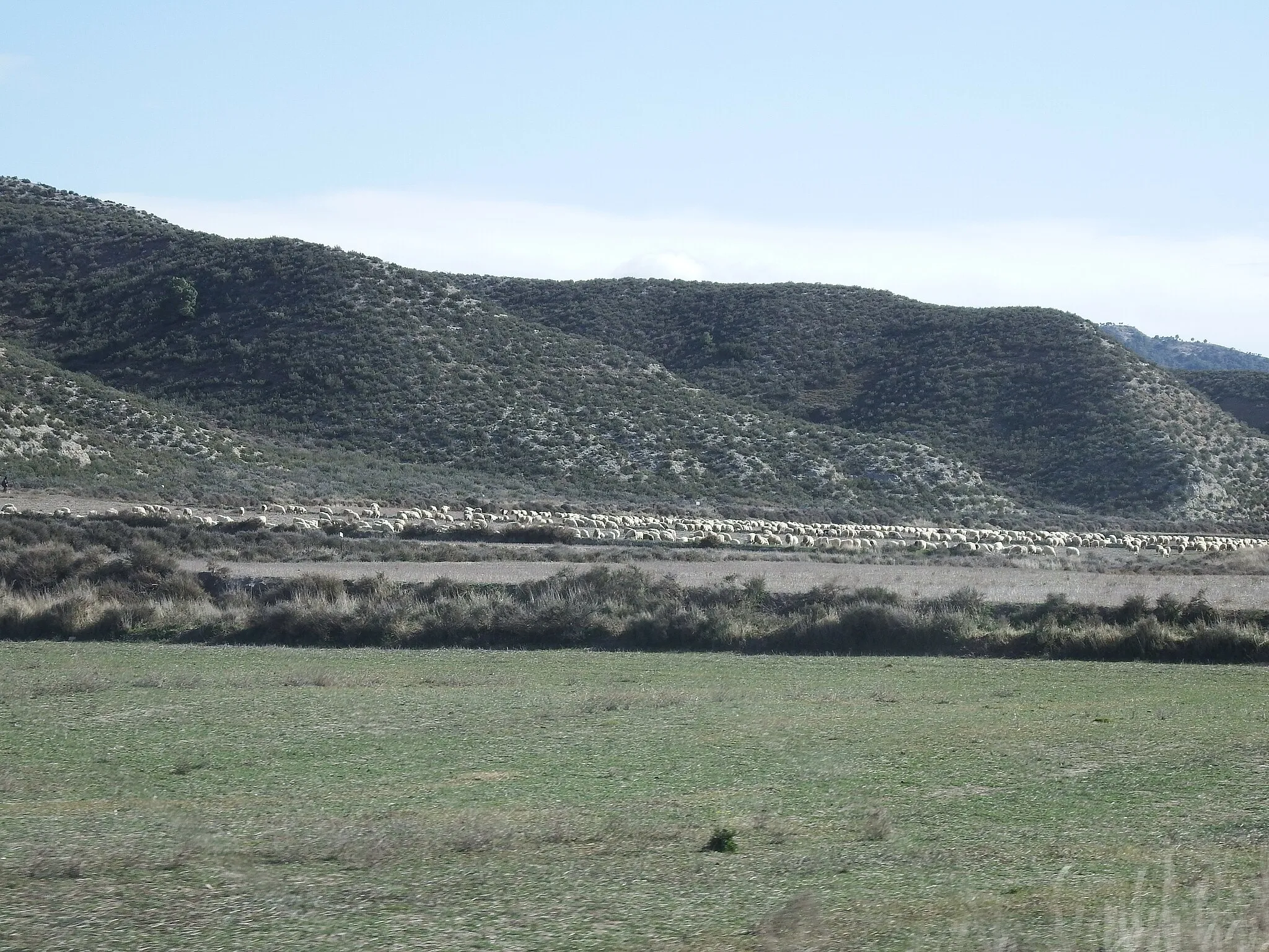 Photo showing: Torrecilla de Valmadrid