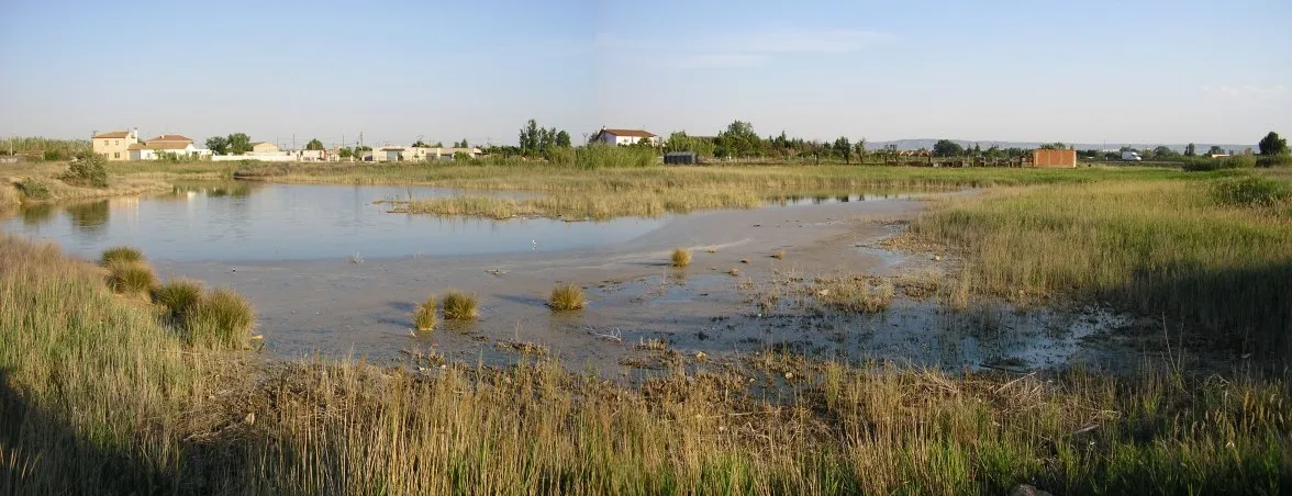 Photo showing: Humedal de alto valor ecológico sito en el barrio de Casetas (Zaragoza)