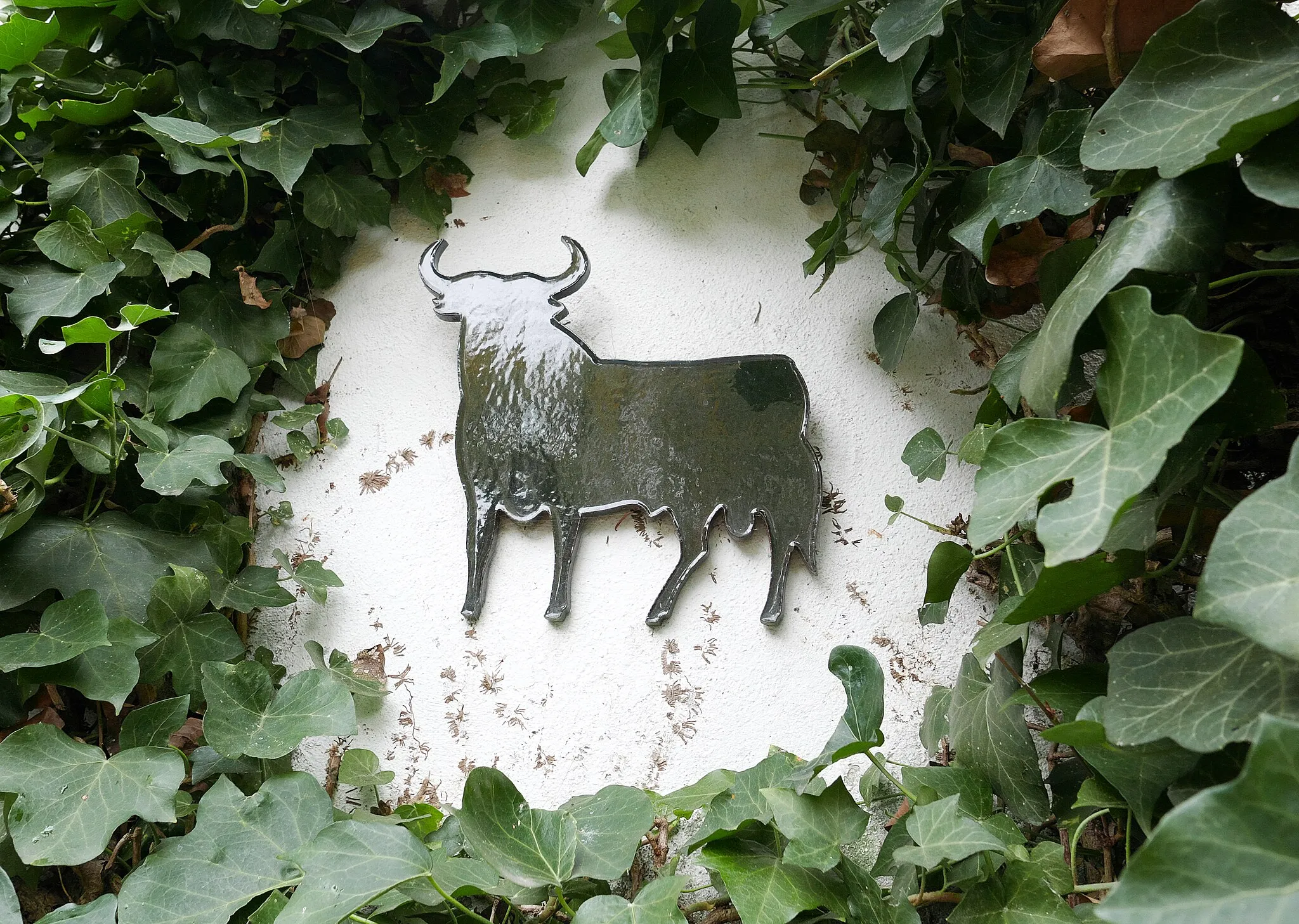 Photo showing: Glazed ceramic Osborne-Bull in ivy