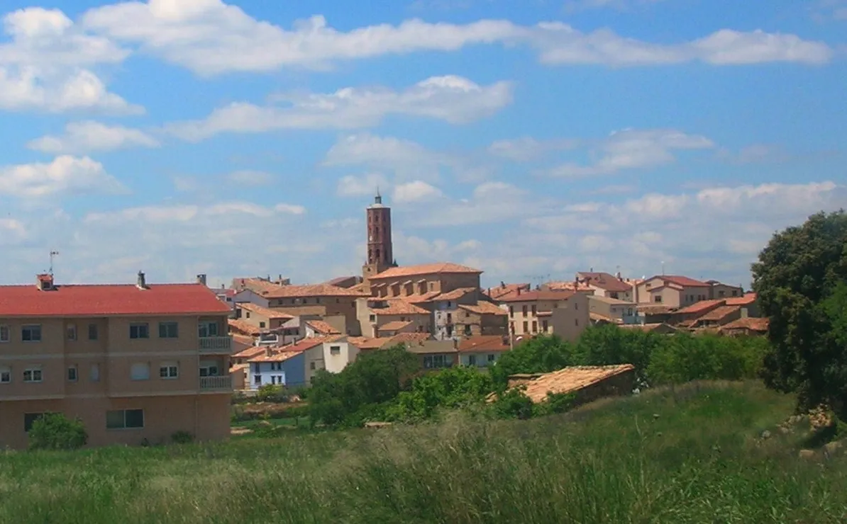 Photo showing: View of La Mata de los Olmos