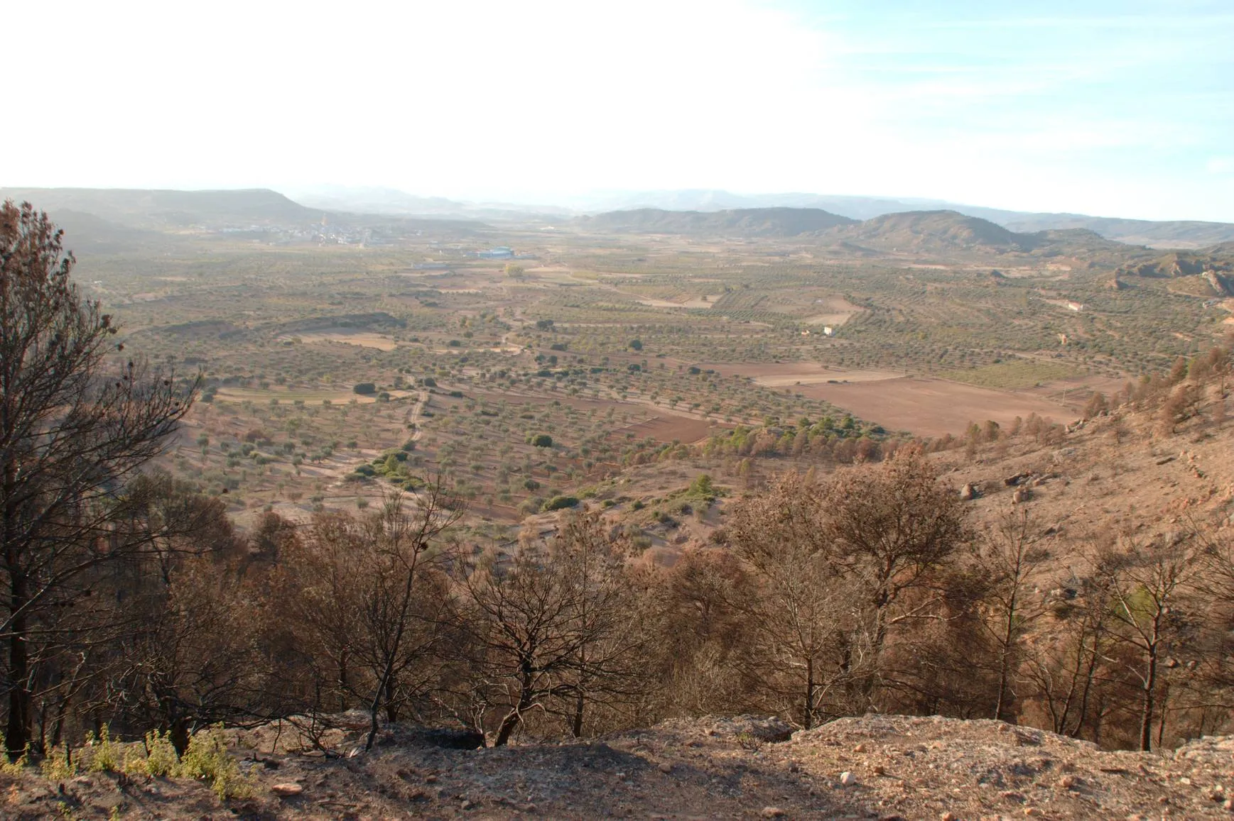 Photo showing: Vista desde el mirador de Alloza