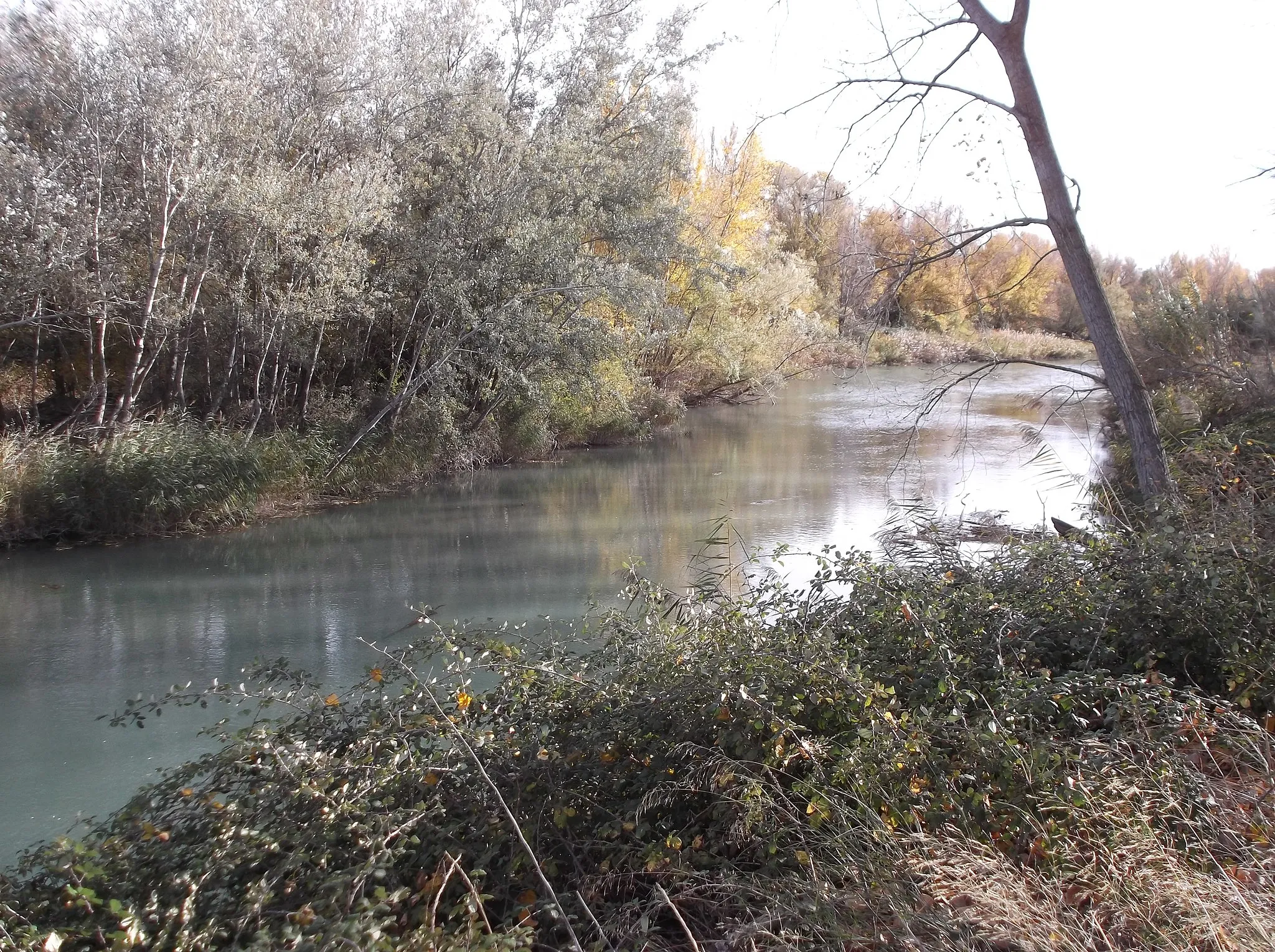 Photo showing: Río Gállego a su paso por Zuera (España)