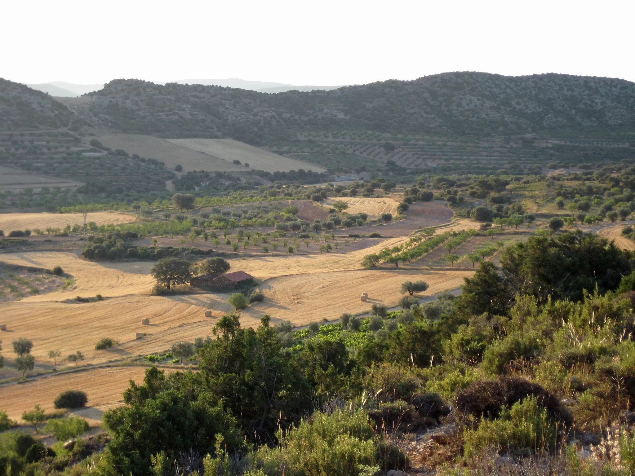 Photo showing: adjacent valley of Los Olmos with wheat fields and almond trees