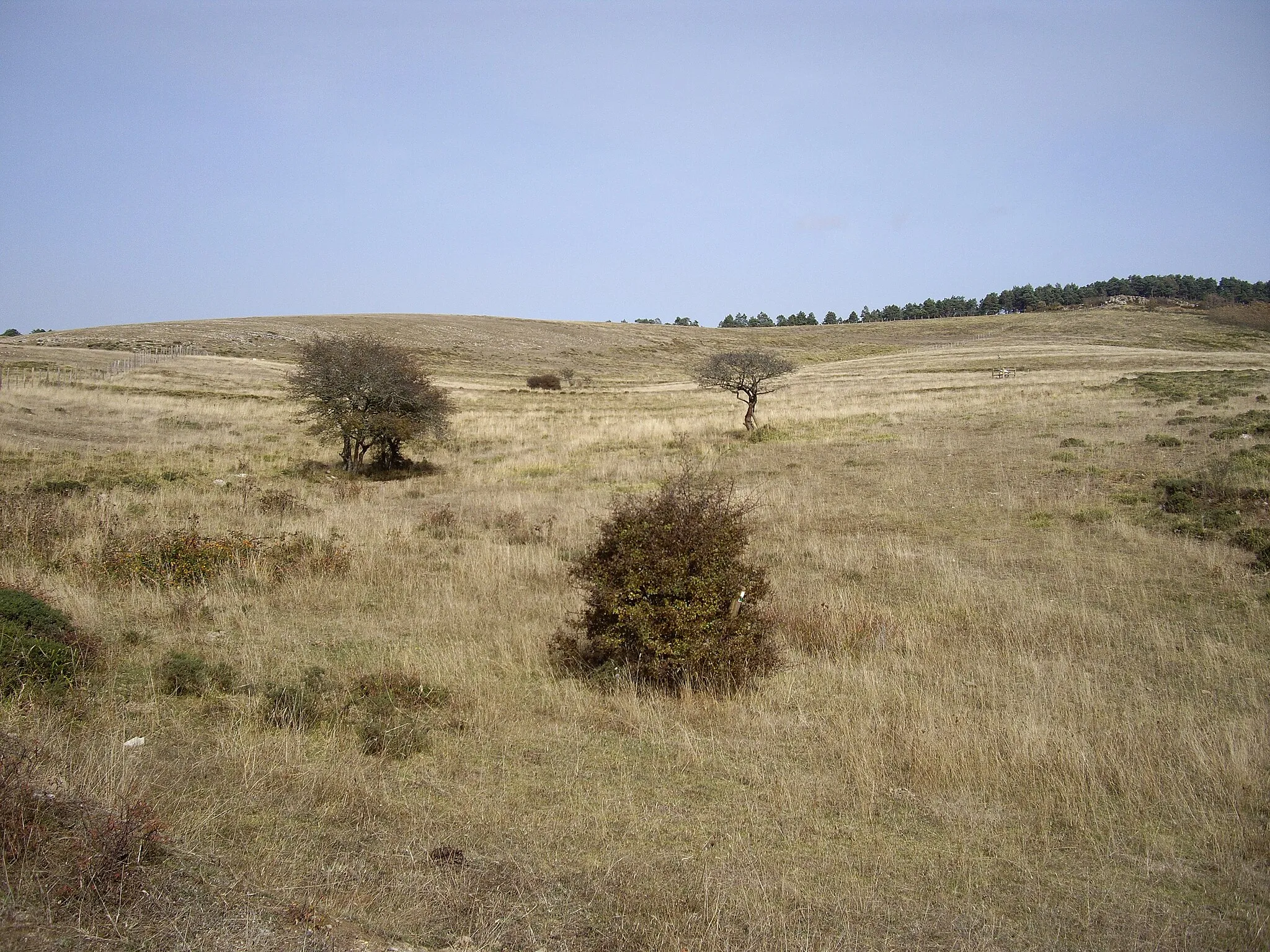 Photo showing: Landscape to the North of Celada Marlantes (Campoo de Enmedio, Cantabria) in Spain, La Mayuela area.