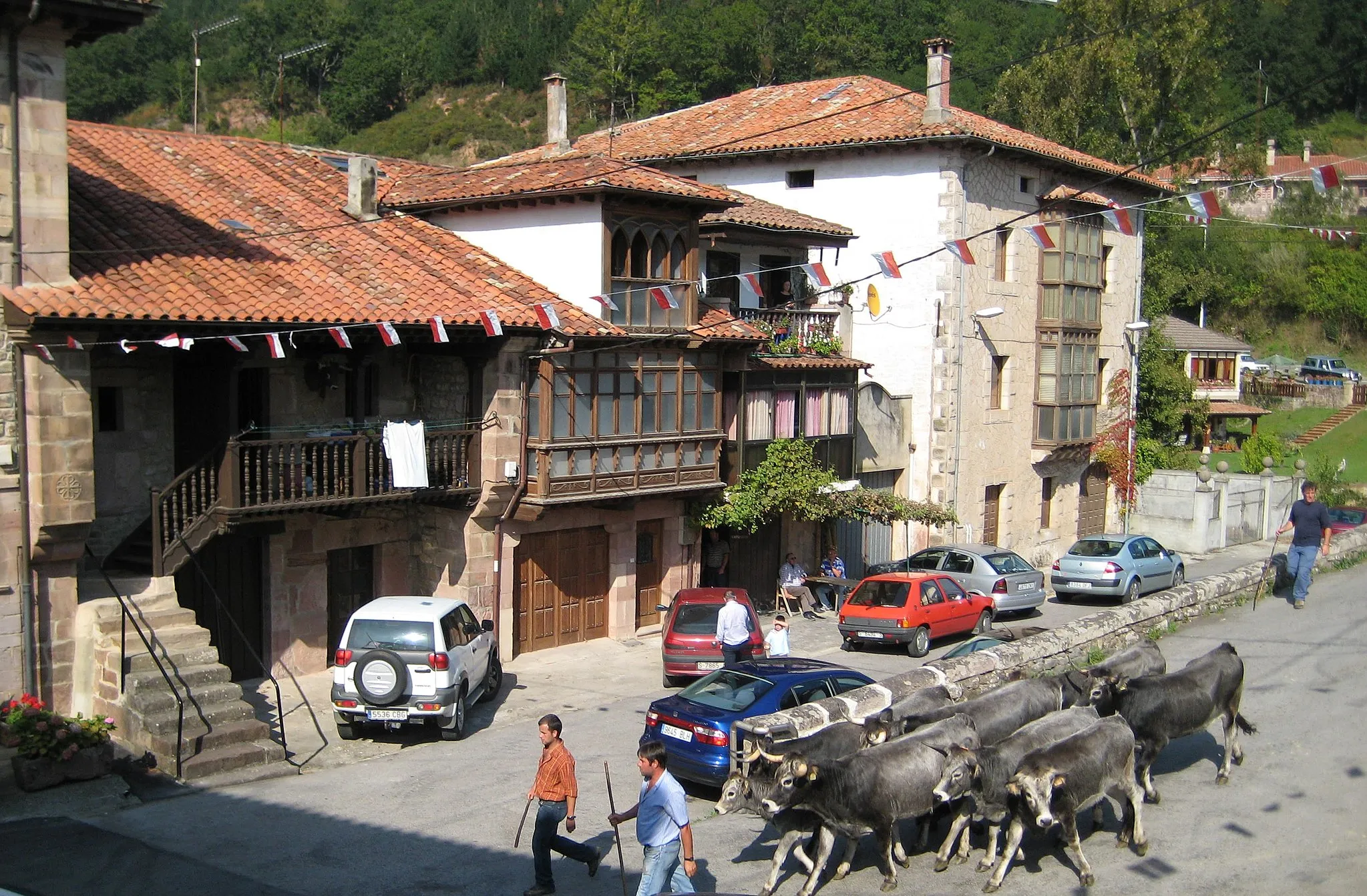 Photo showing: Cattle drive. Herd of Tudanca cows down Puentenansa, Rionansa, Cantabria, Spain.