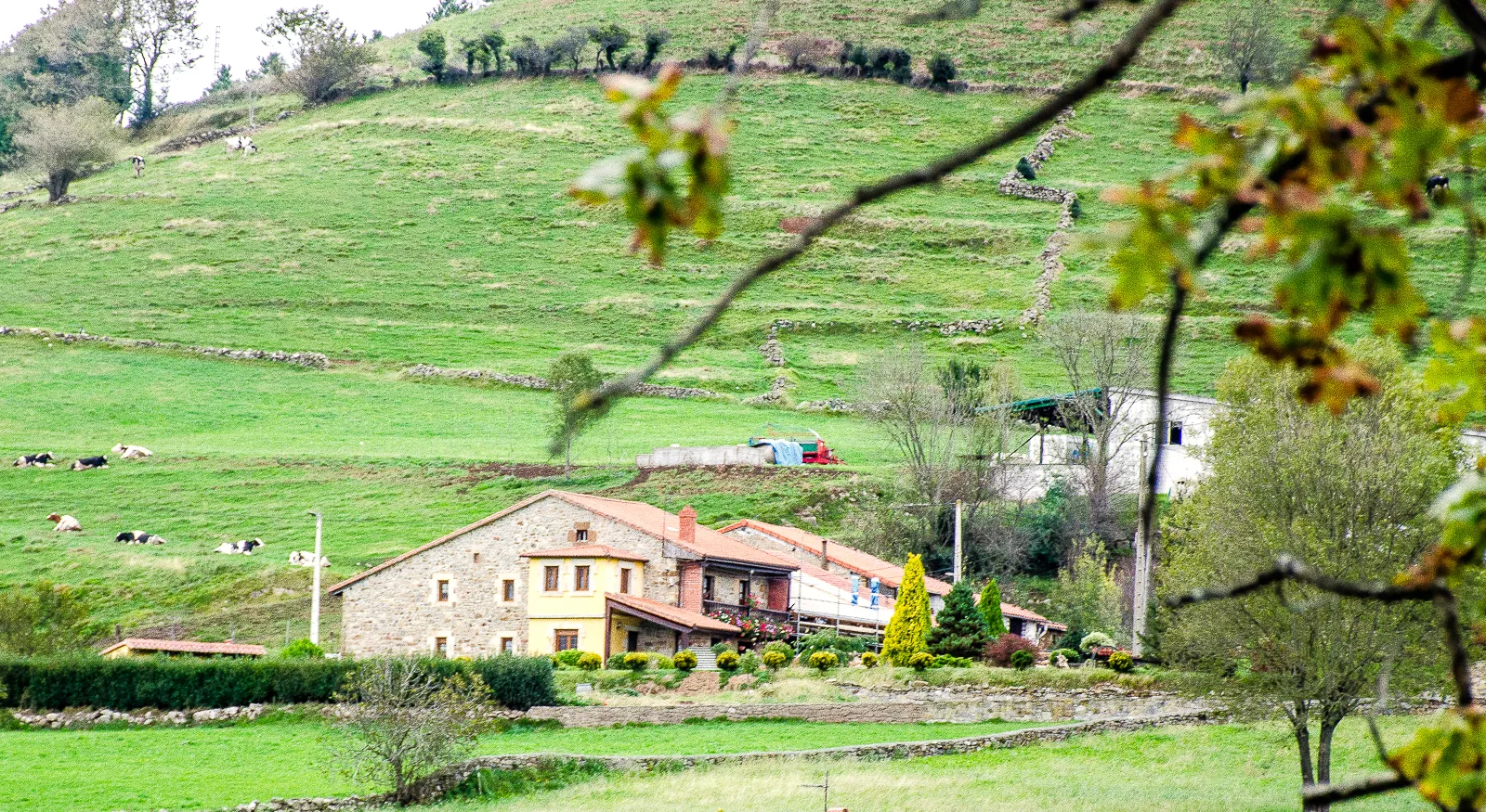 Photo showing: Casona montañesa en el término de Abionzo.