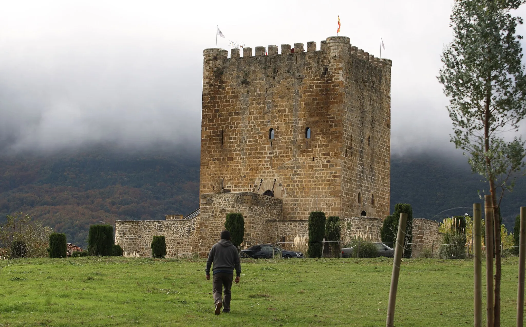 Photo showing: Castillo de los Velasco de Lezana de Mena