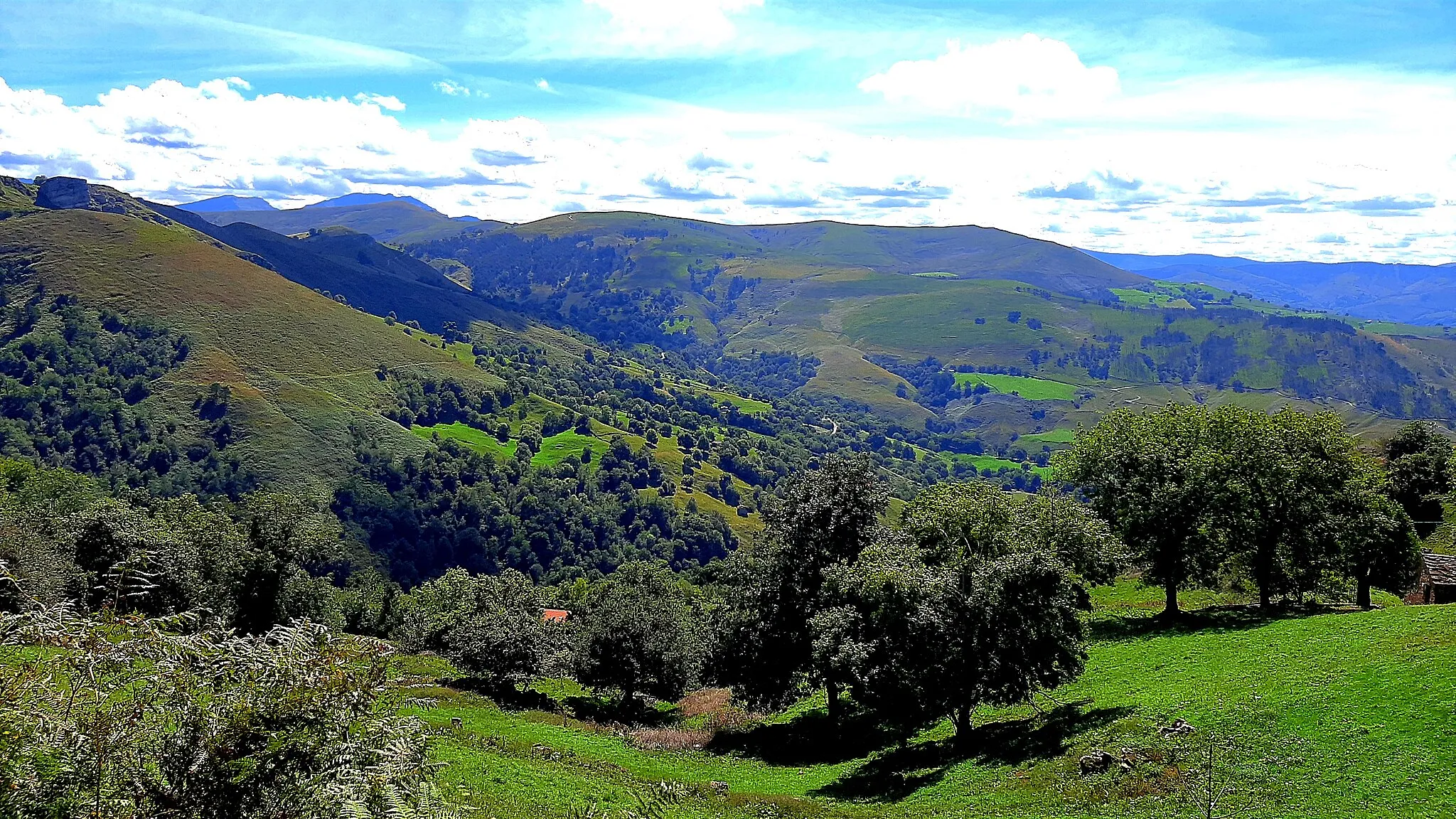 Photo showing: Entorno natural que rodea el alto de La Estranguada, en los valles pasiegos