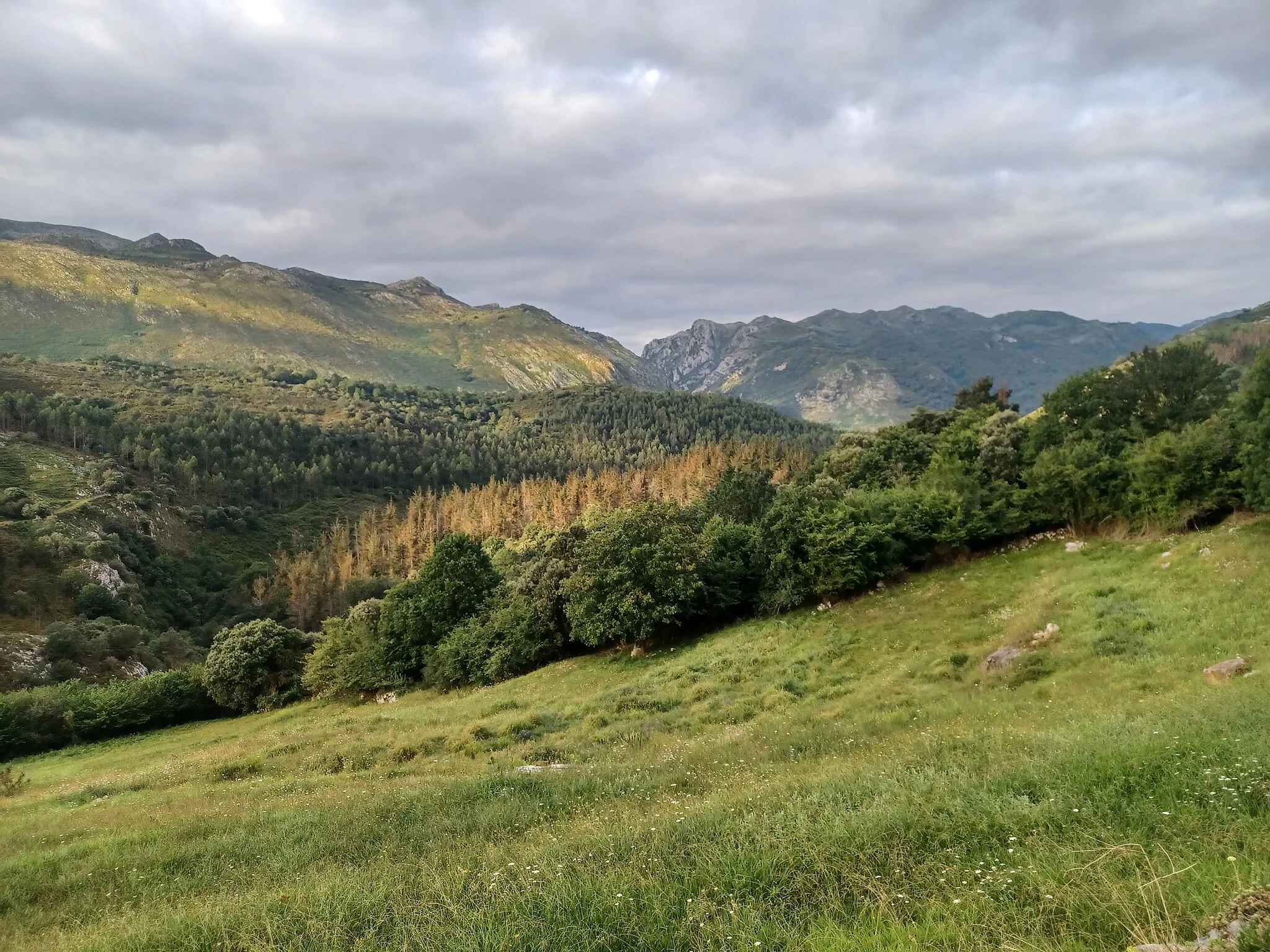 Photo showing: The Lebaniego Way (a branch of the Saint James Way) between Cades and Sobrelapeña, Cantabria, Spain.