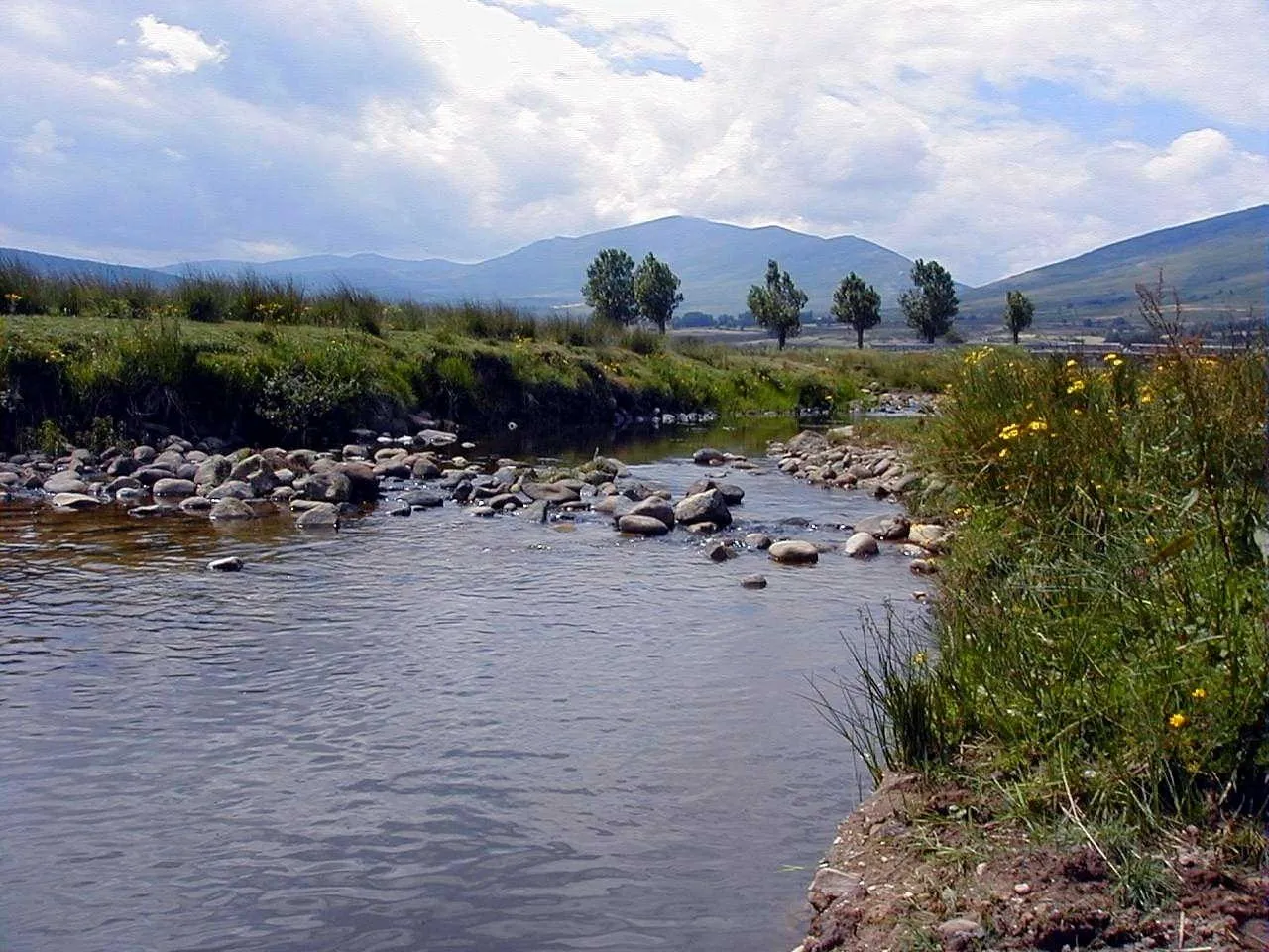 Photo showing: Río Camesa, en Santa Olalla (Cantabria)