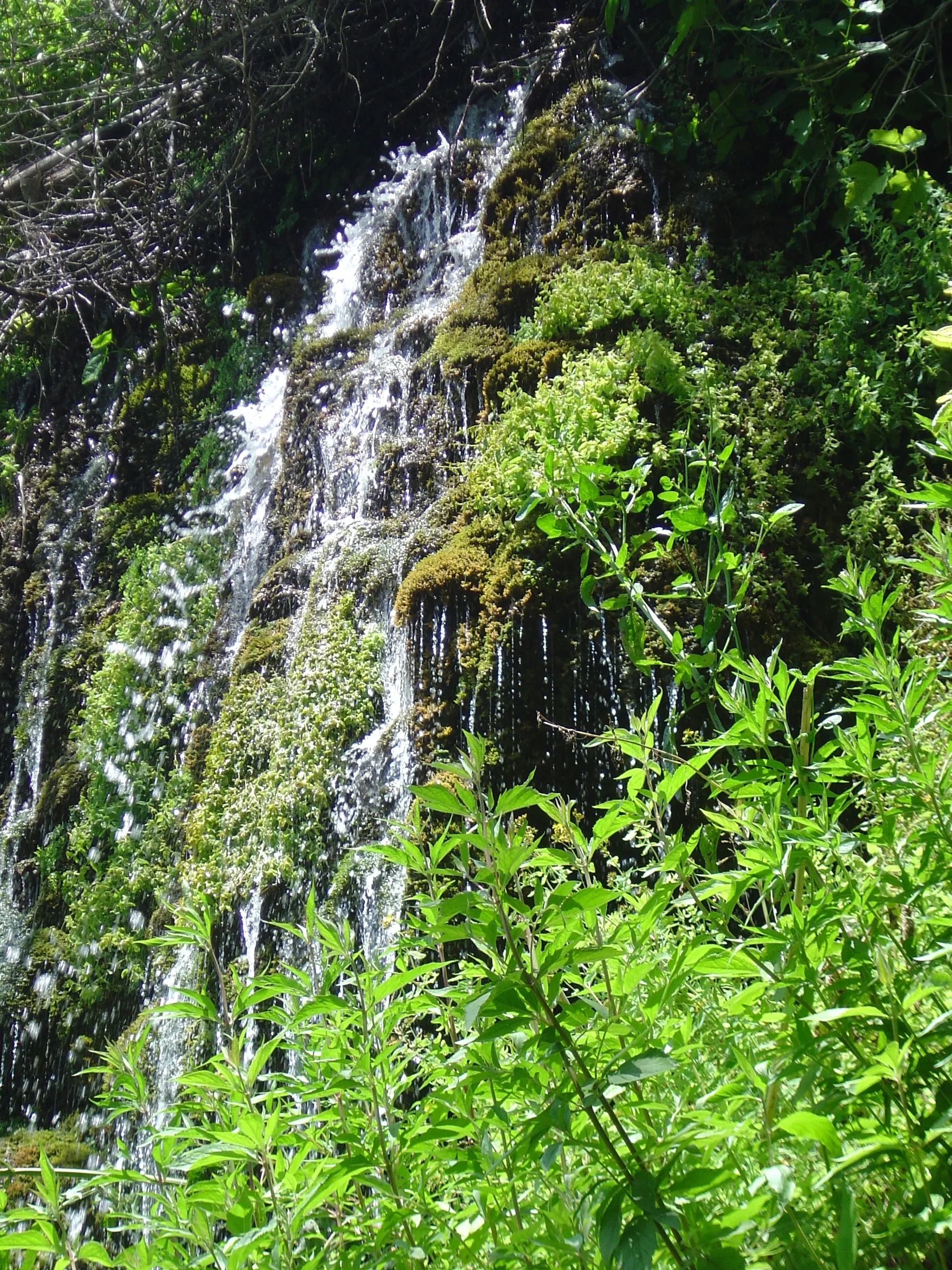 Photo showing: OASIS DE CIVICA