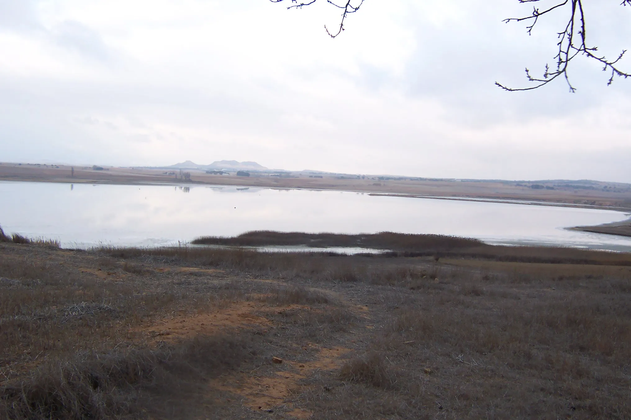 Photo showing: Laguna salada de Pétrola, en la provincia de Albacete (España)