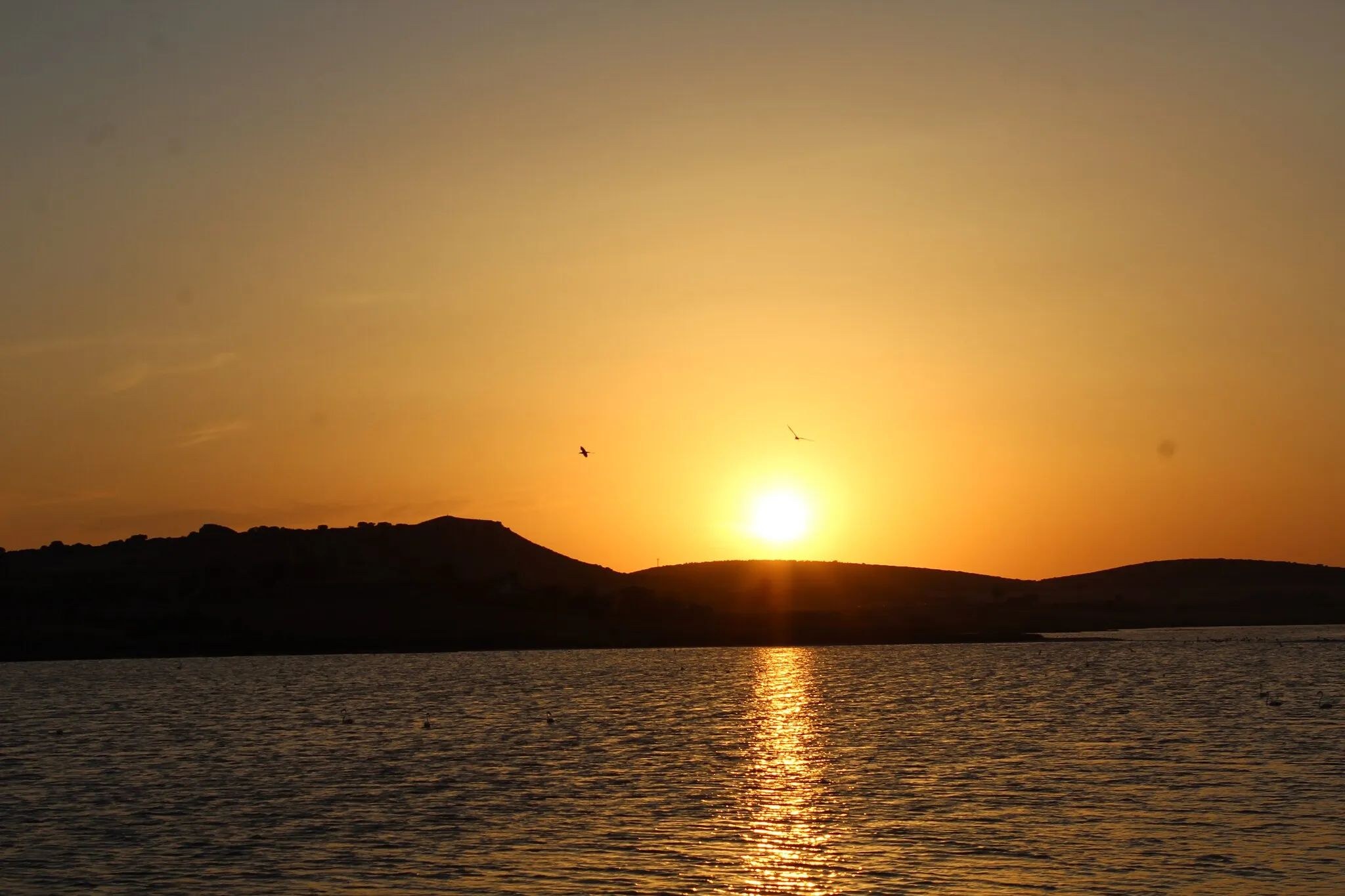 Photo showing: Sunset on Petrola Lagoon with flamingos crossing the sun