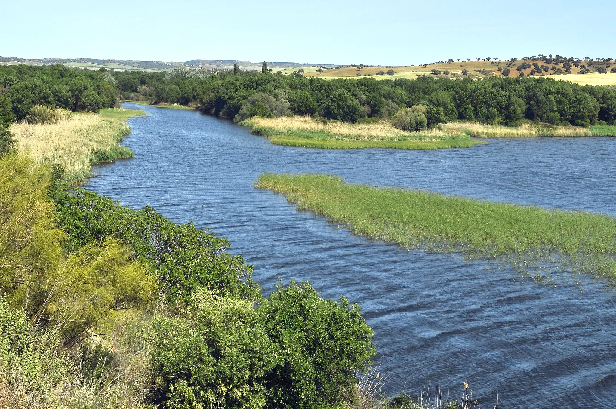 Photo showing: Mouth of Gévalo River in Azután Reservoir. Belvís de la Jara, Toledo, Castile-La Mancha, Spain