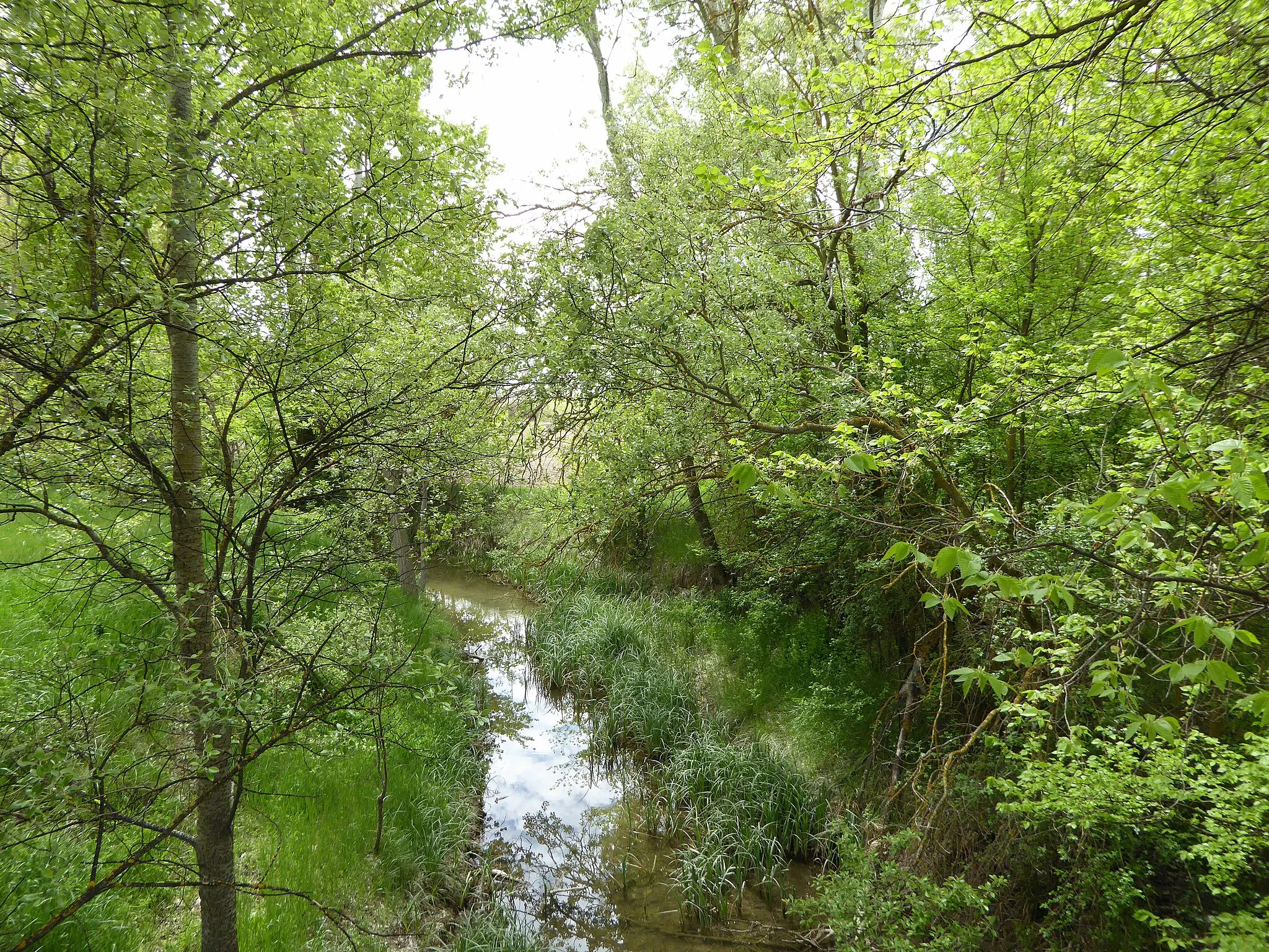 Photo showing: Carrascosa de Haro