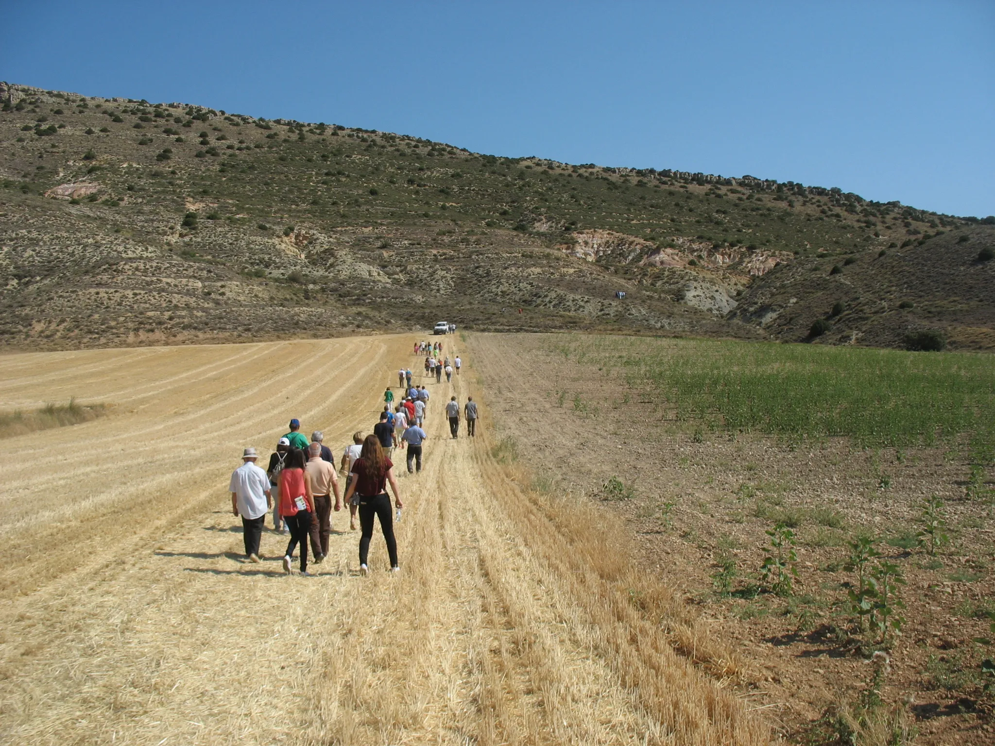 Photo showing: Aalenian GSSP (Lower-Middle Jurassic boundary). Golden spike ceremony: July, 28th 2016. Fuentelsaz, Guadalajara, Spain