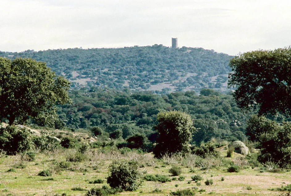 Photo showing: Holm oak forest and watch tower. El Casar de Talavera, Toledo, Castile-La Mancha, Spain