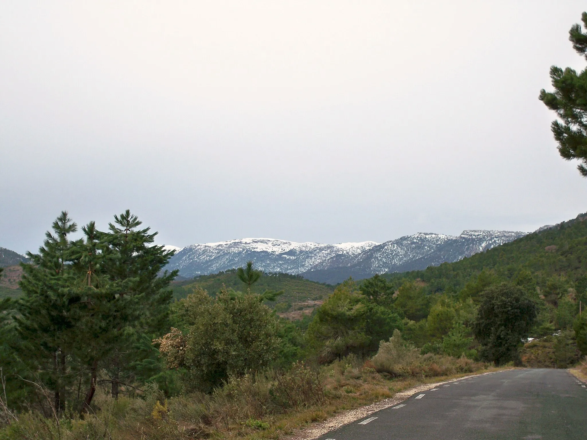 Photo showing: Vista de la Sierra del Cujón desde la carretera de Los Collados (Molinicos - Albacete).