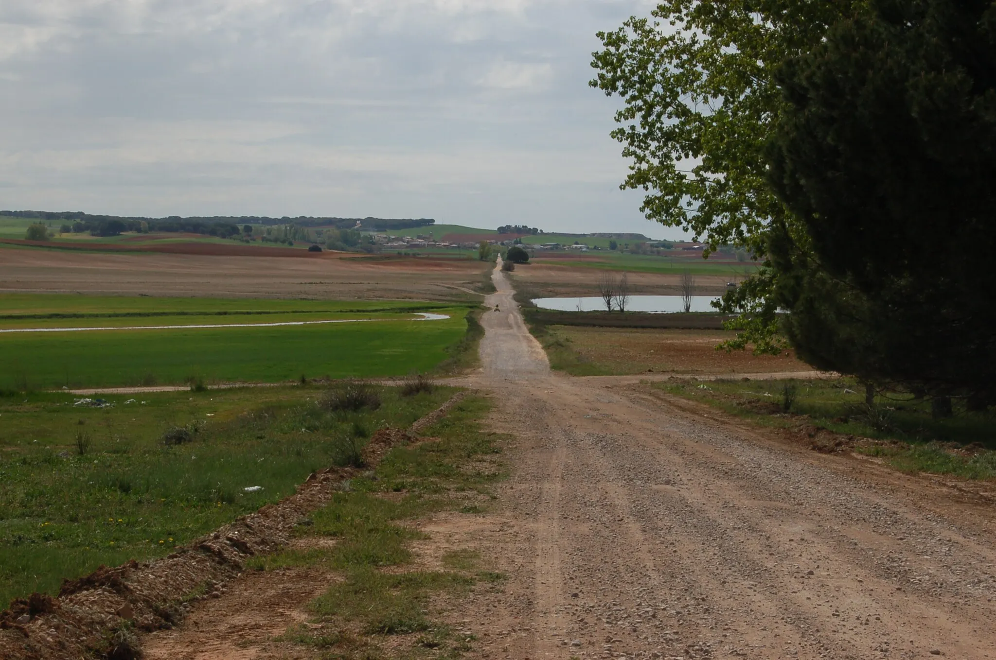 Photo showing: Tramo da antiga estrada N-III entre Valverde de Júcar e Hontecillas, asolagado polo encoro de Alarcón