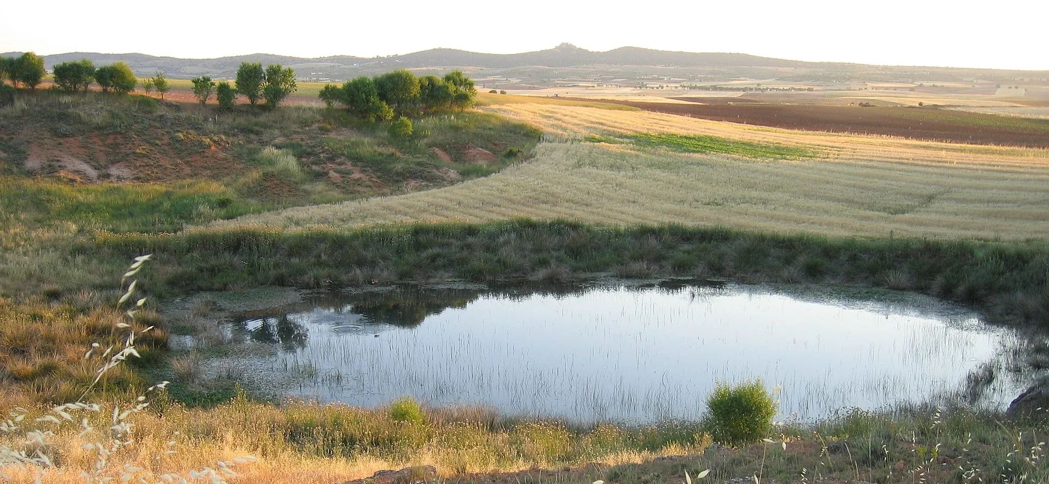 Photo showing: Charca de origen cárstico de La Quebrá en Puebla de Almenara, Cuenca.