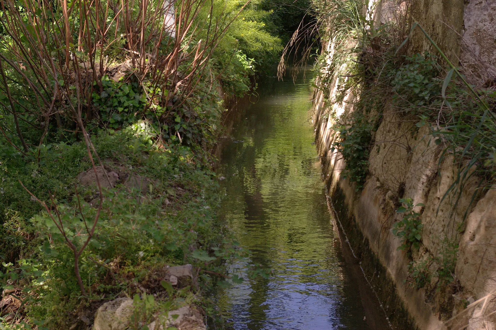 Photo showing: acequia de regadio en jorquera