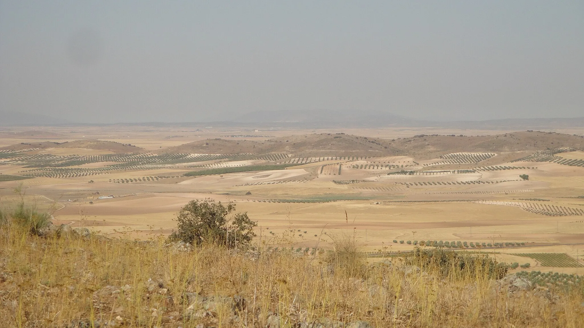 Photo showing: Las sierras Peladas.