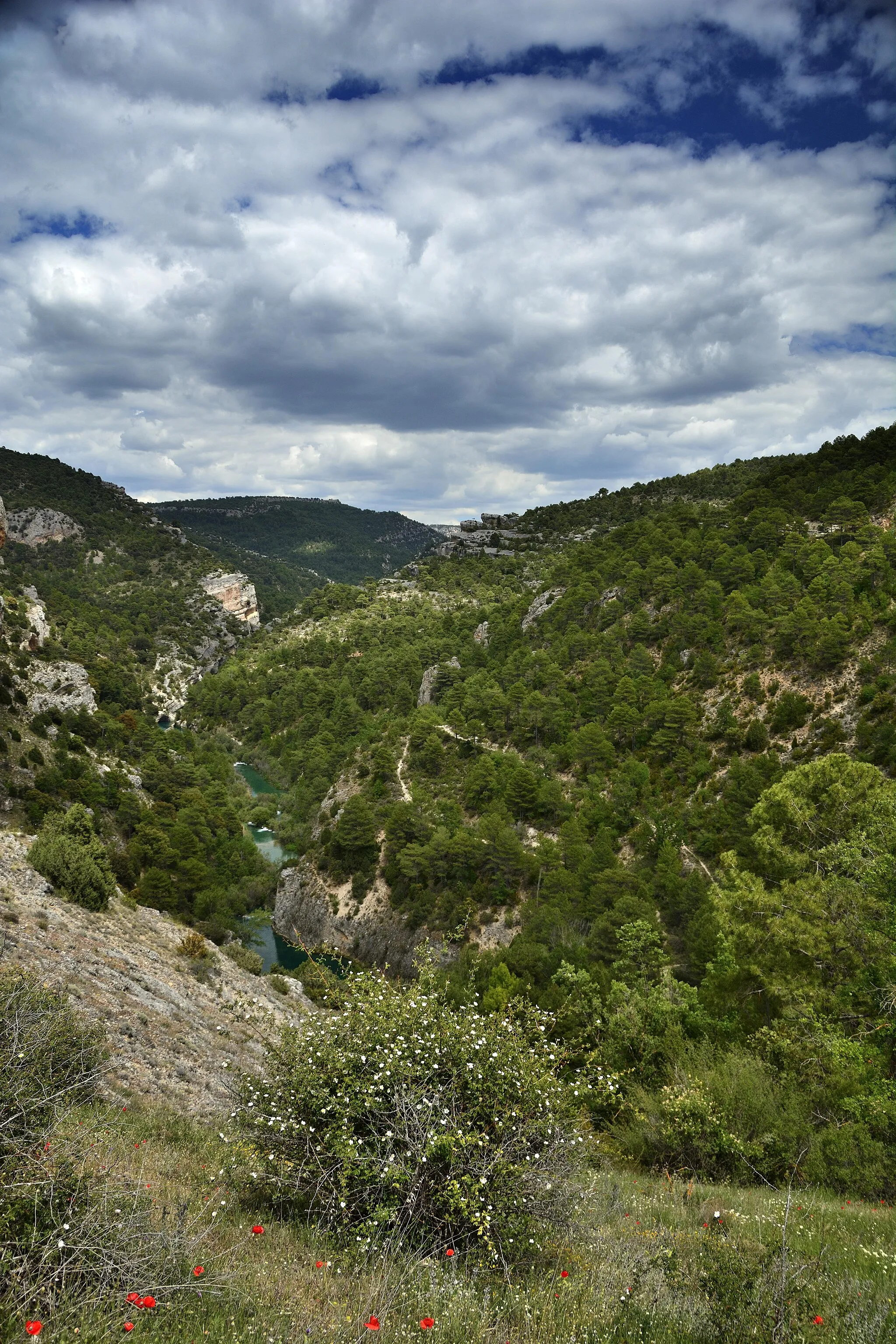 Photo showing: This is a photography of a Special Area of Conservation in Spain with the ID: