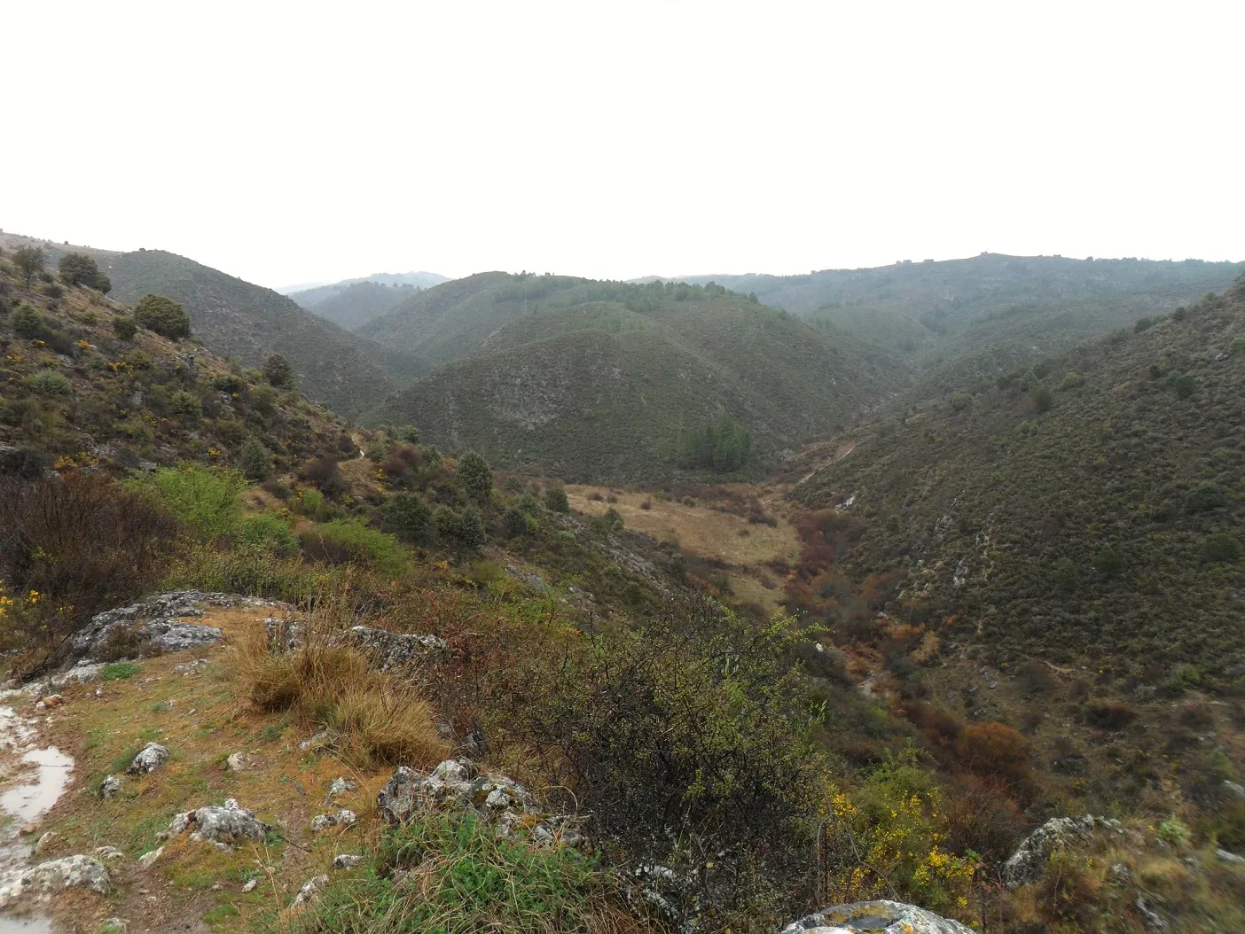 Photo showing: Fuente del Cubillo ravine in Valdepeñas de la Sierra (Guadalajara, Castile-La Mancha, Spain).