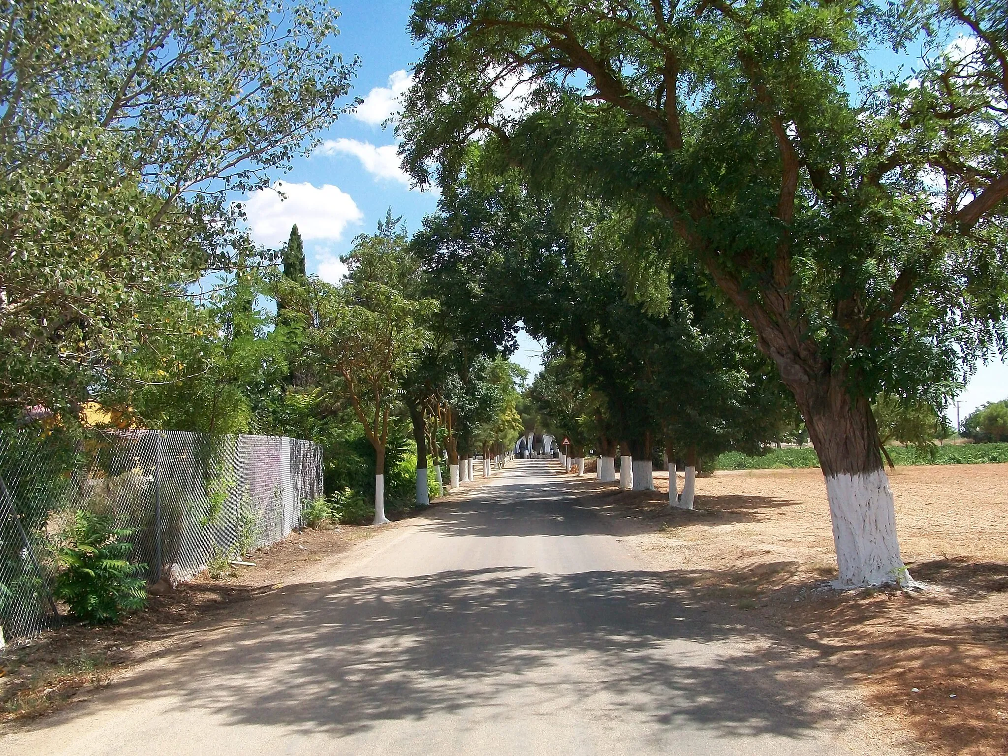 Photo showing: Camino de San Miguel en Pedro Muñoz.