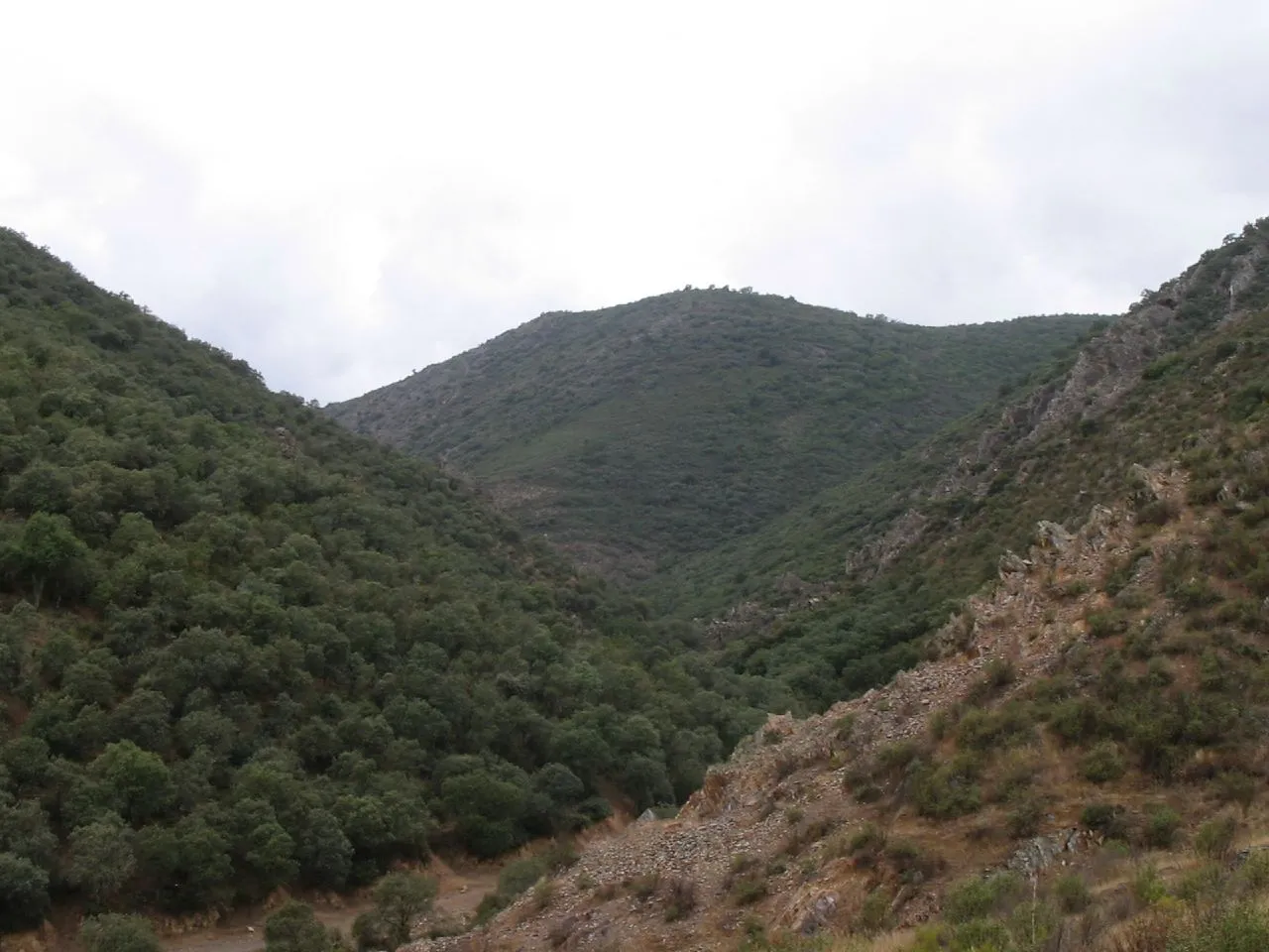 Photo showing: Navas de Estena, provincia de Ciudad Real, Castilla-La Mancha, España.