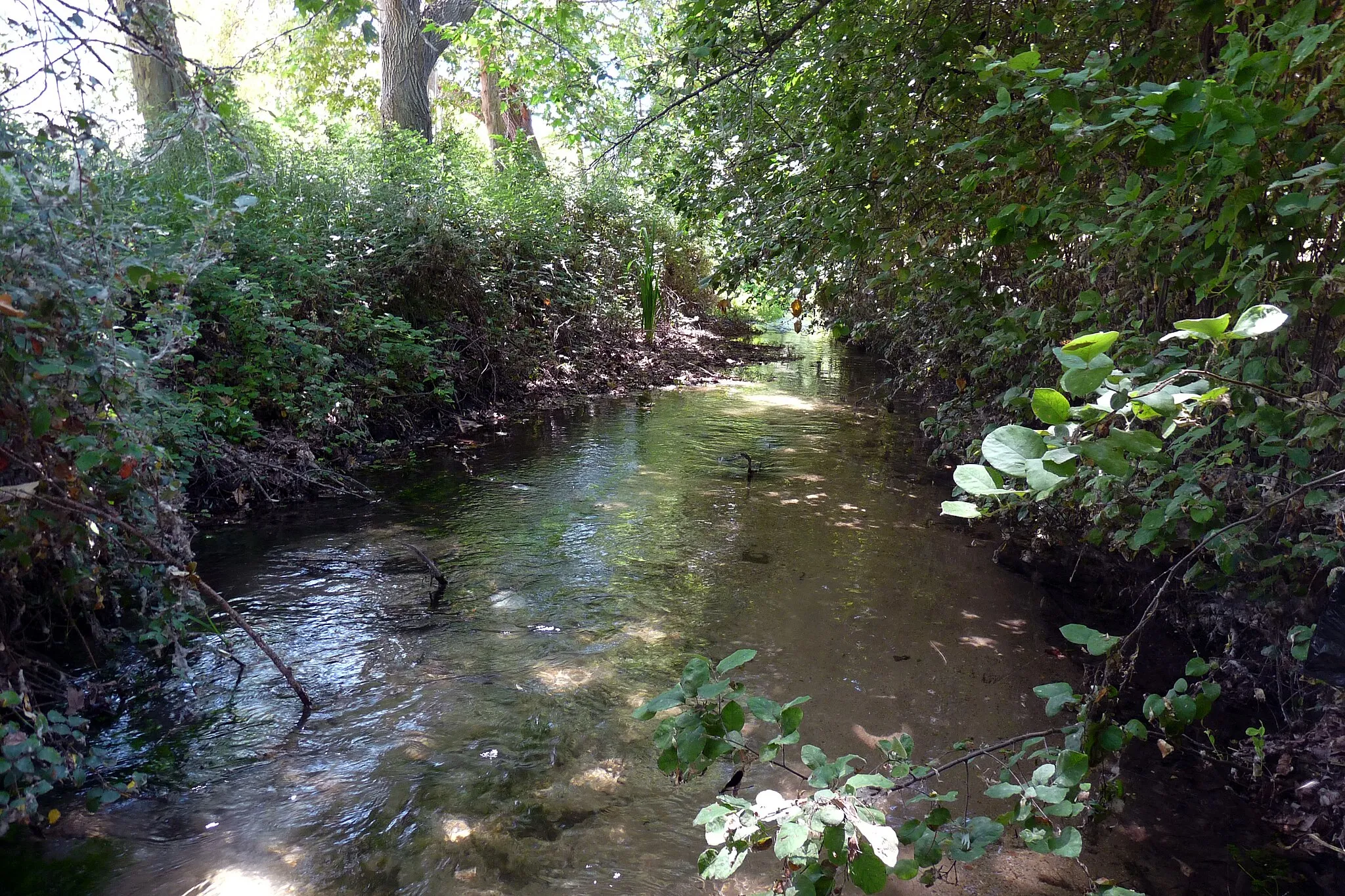 Photo showing: Río Ungría (Valdesaz).