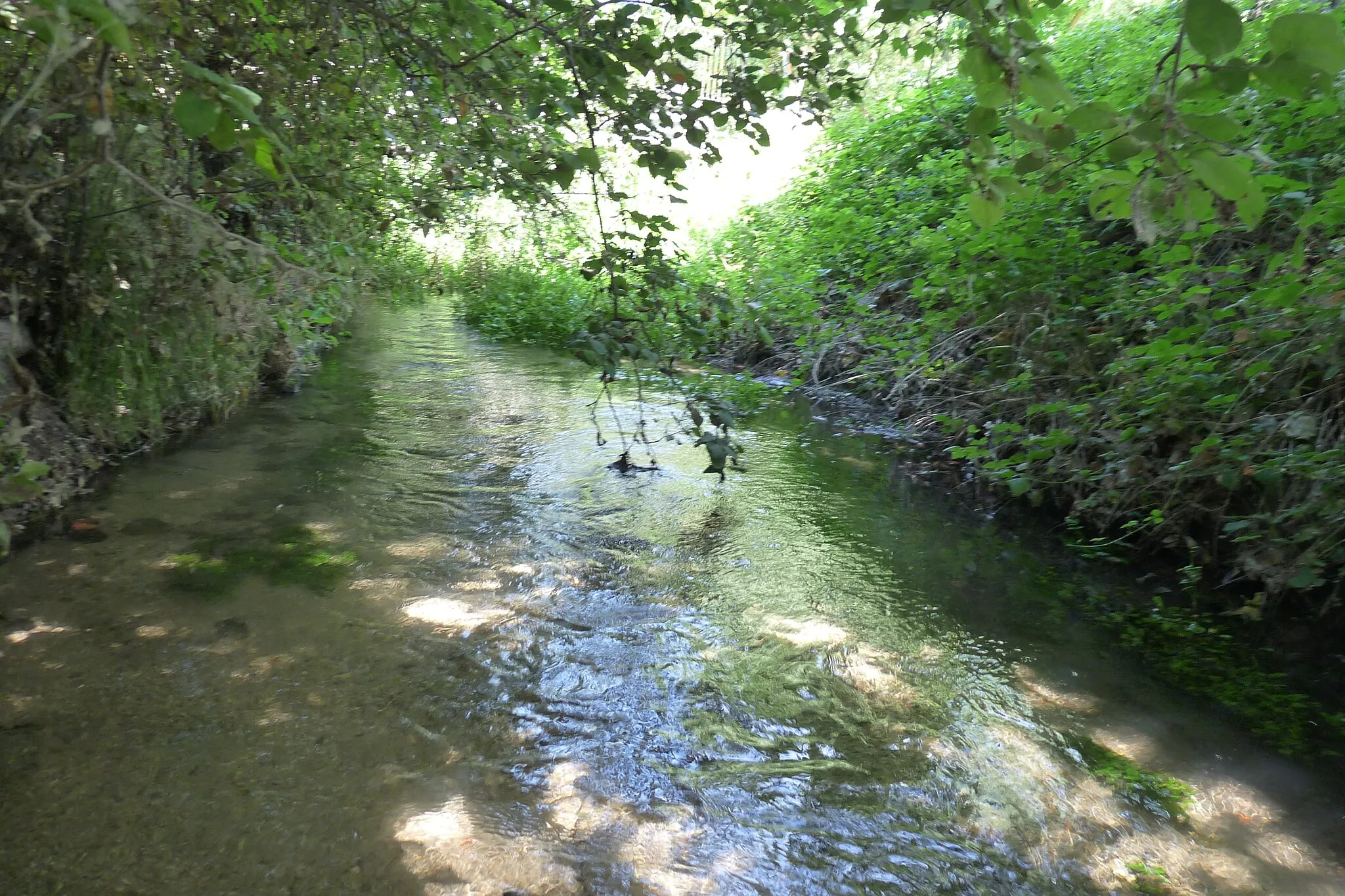 Photo showing: Vista del río Ungría (Valdesaz).