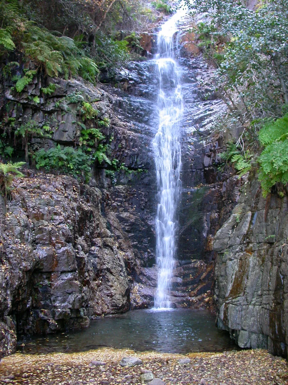 Photo showing: Ruta del Chorro, Parque Nacional de Cabañeros