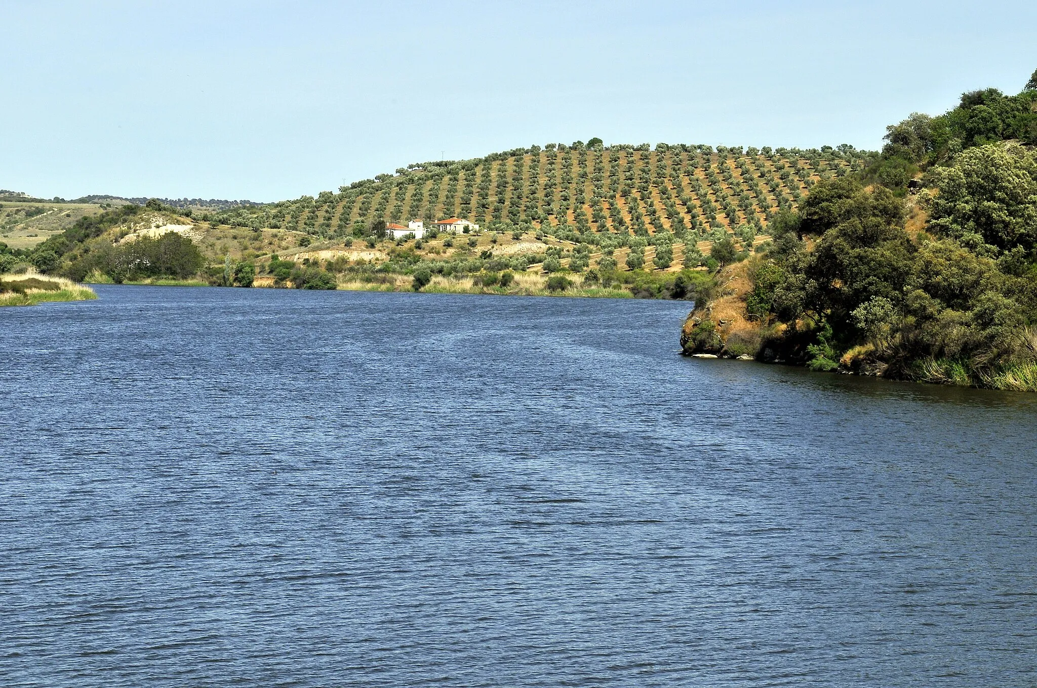 Photo showing: Azután Reservoir upstream of CM-4160 road bridge. Calera y Chozas (left side, right shore] / Belvís de la Jara [right side, left shore], Toledo, Castile-La Mancha, Spain
