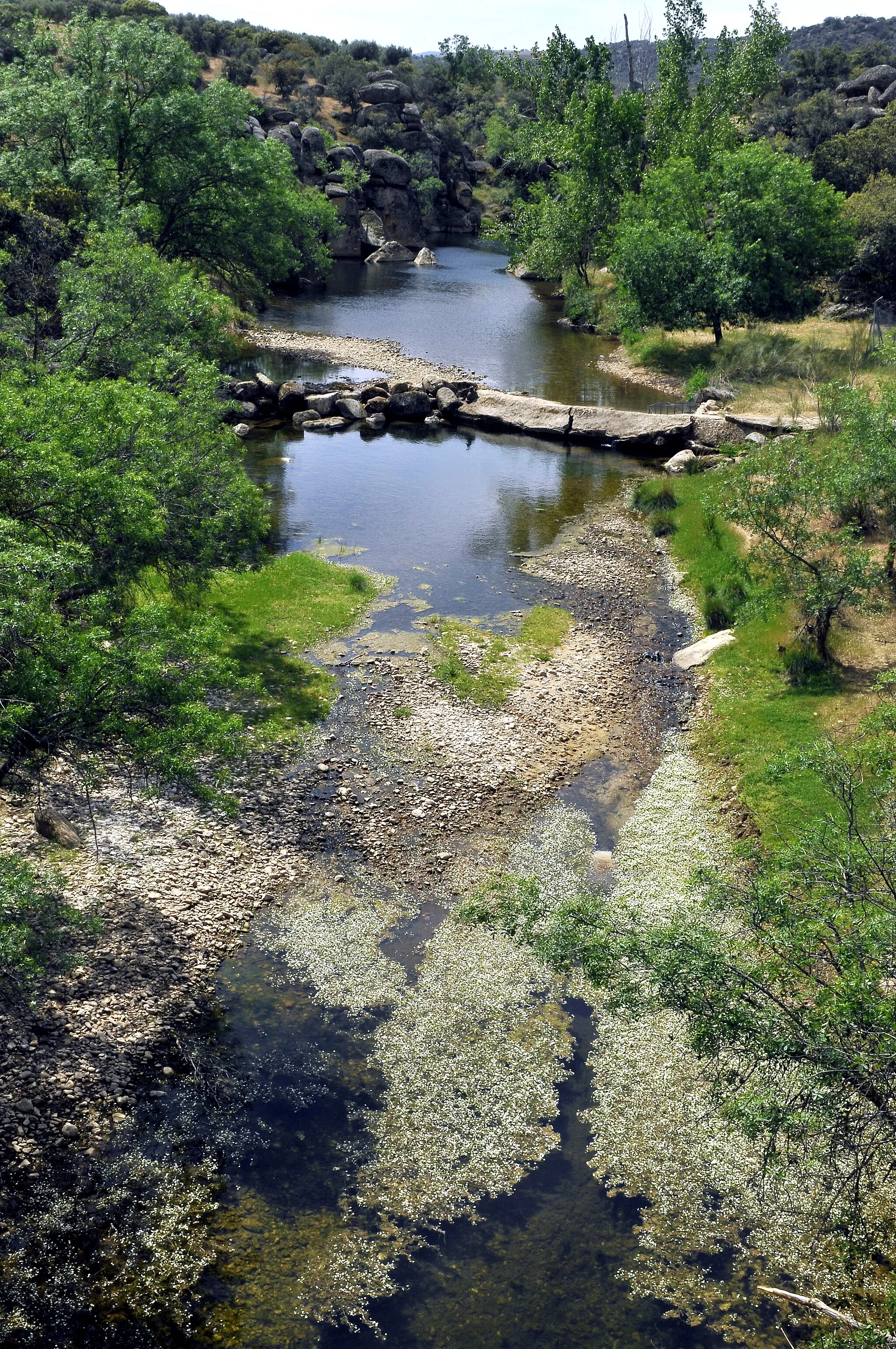 Photo showing: Cedena River. Villarejo de Montalbán, Toledo, Castile-La Mancha, Spain