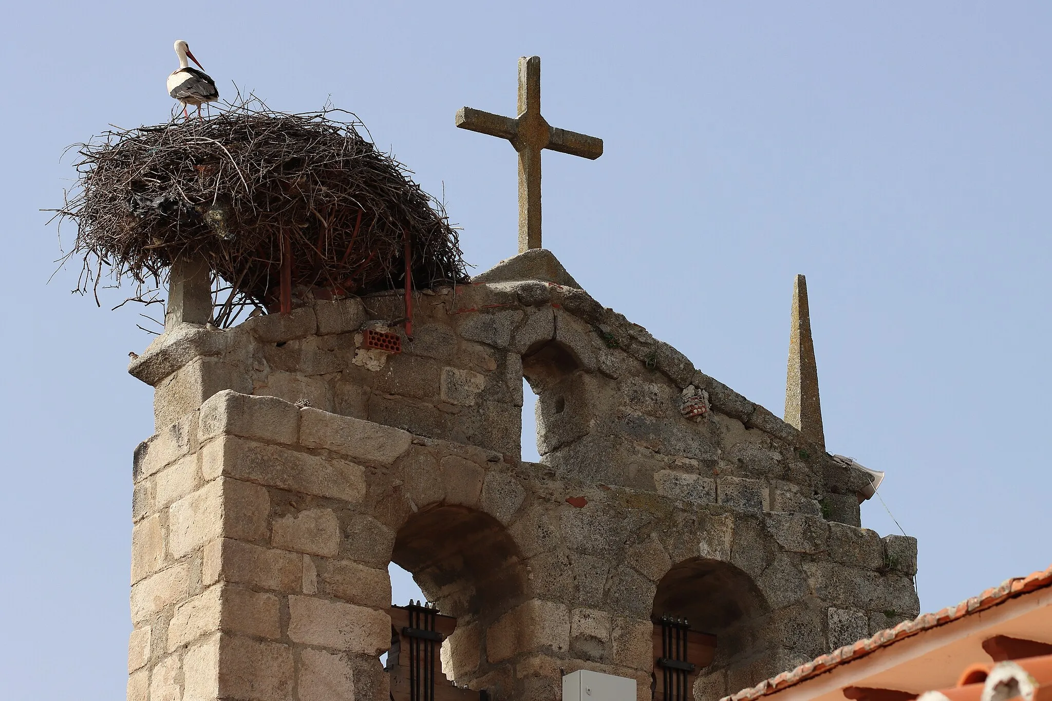 Photo showing: Cigüeñas, iglesia de la Purísima Concepción, Aldea en Cabo, 03