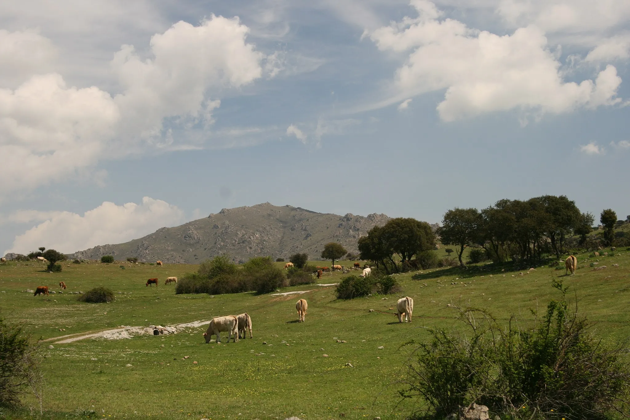 Photo showing: Cerro_de_San_Pedro_desde_Dehesa_Navalvillar