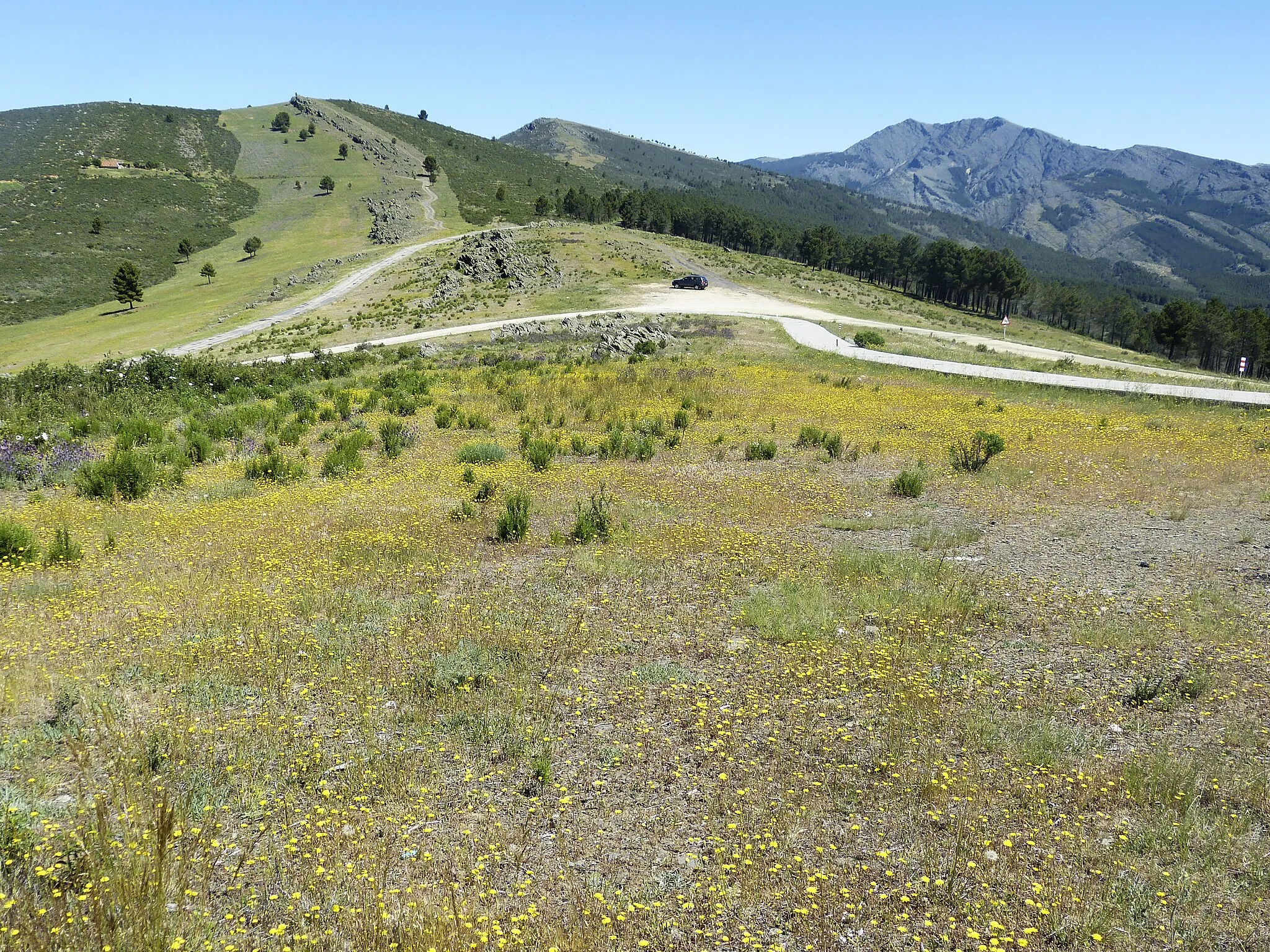 Photo showing: El Cerro en primavera