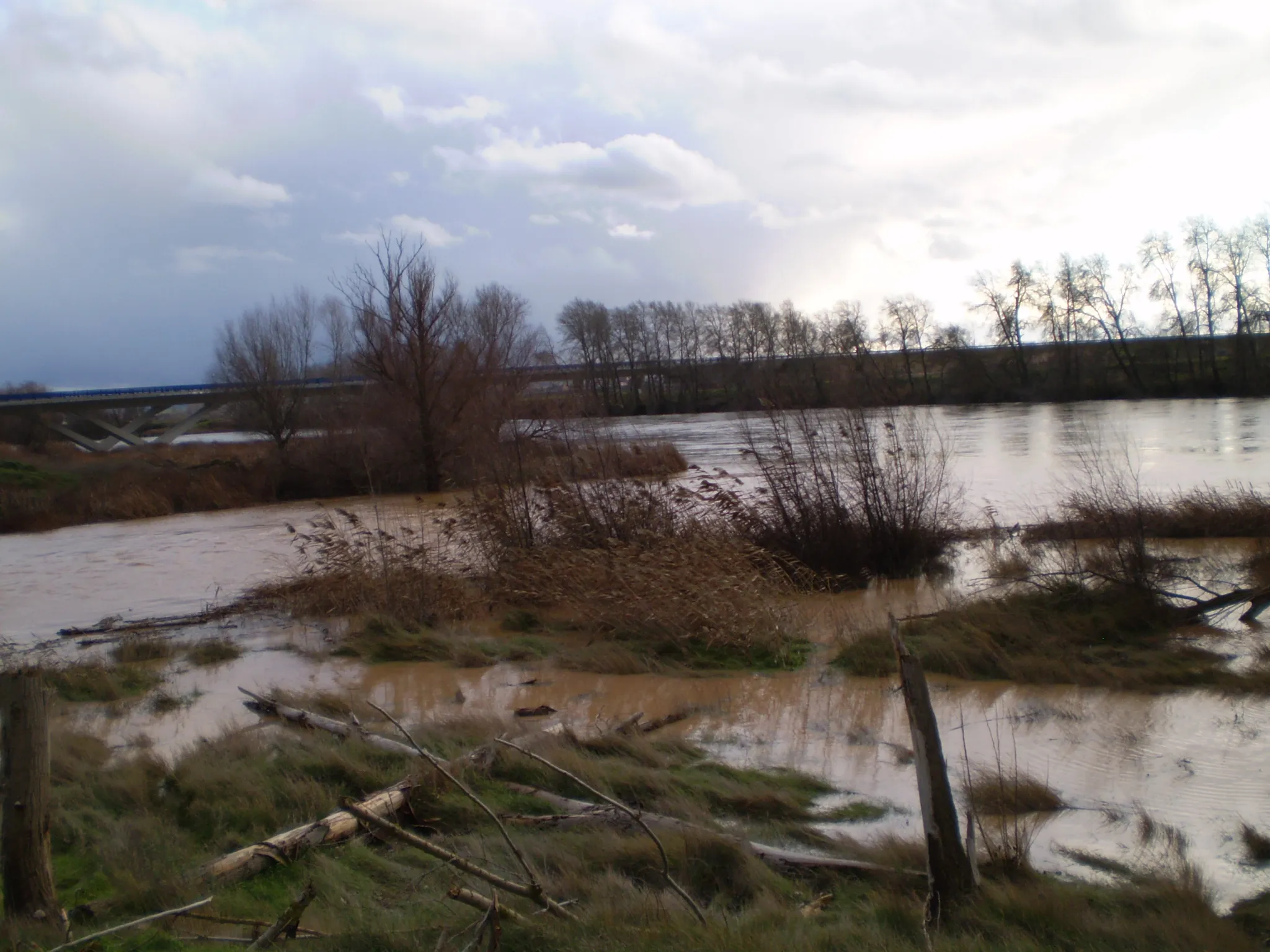 Photo showing: Desembocando el río Valderaduey en el río Duero.
